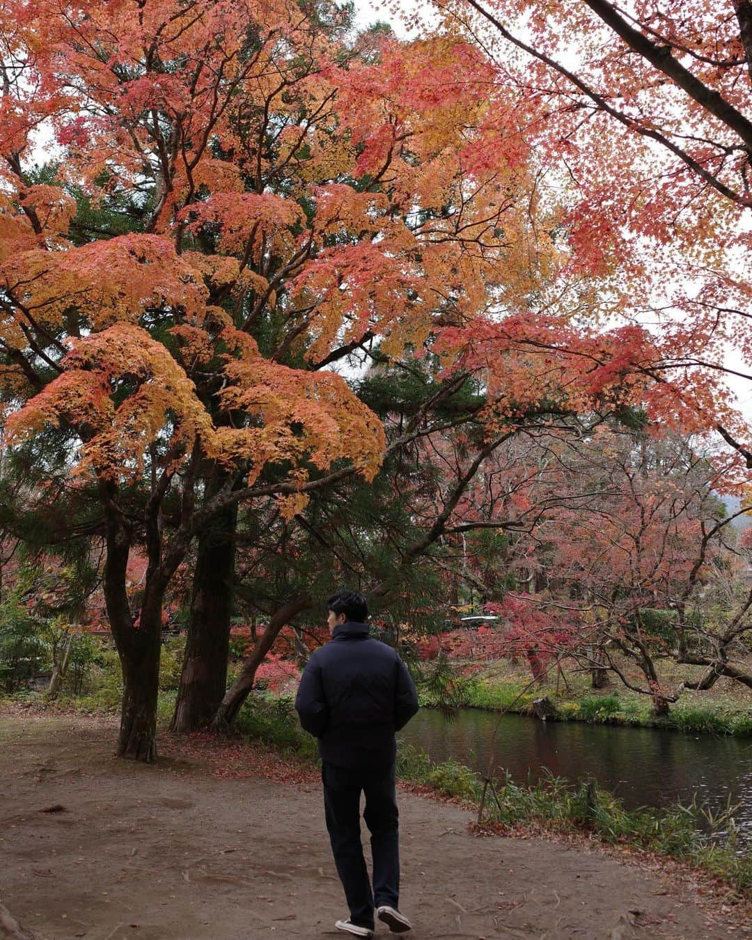 佐藤義朗さんのインスタグラム写真 - (佐藤義朗Instagram)「ニッポンの秋🍁🍮  #秋旅#ricohgr3#プリン」11月26日 20時31分 - yoshiaki_sato11