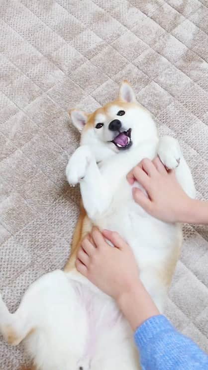 ちゃみのインスタグラム
