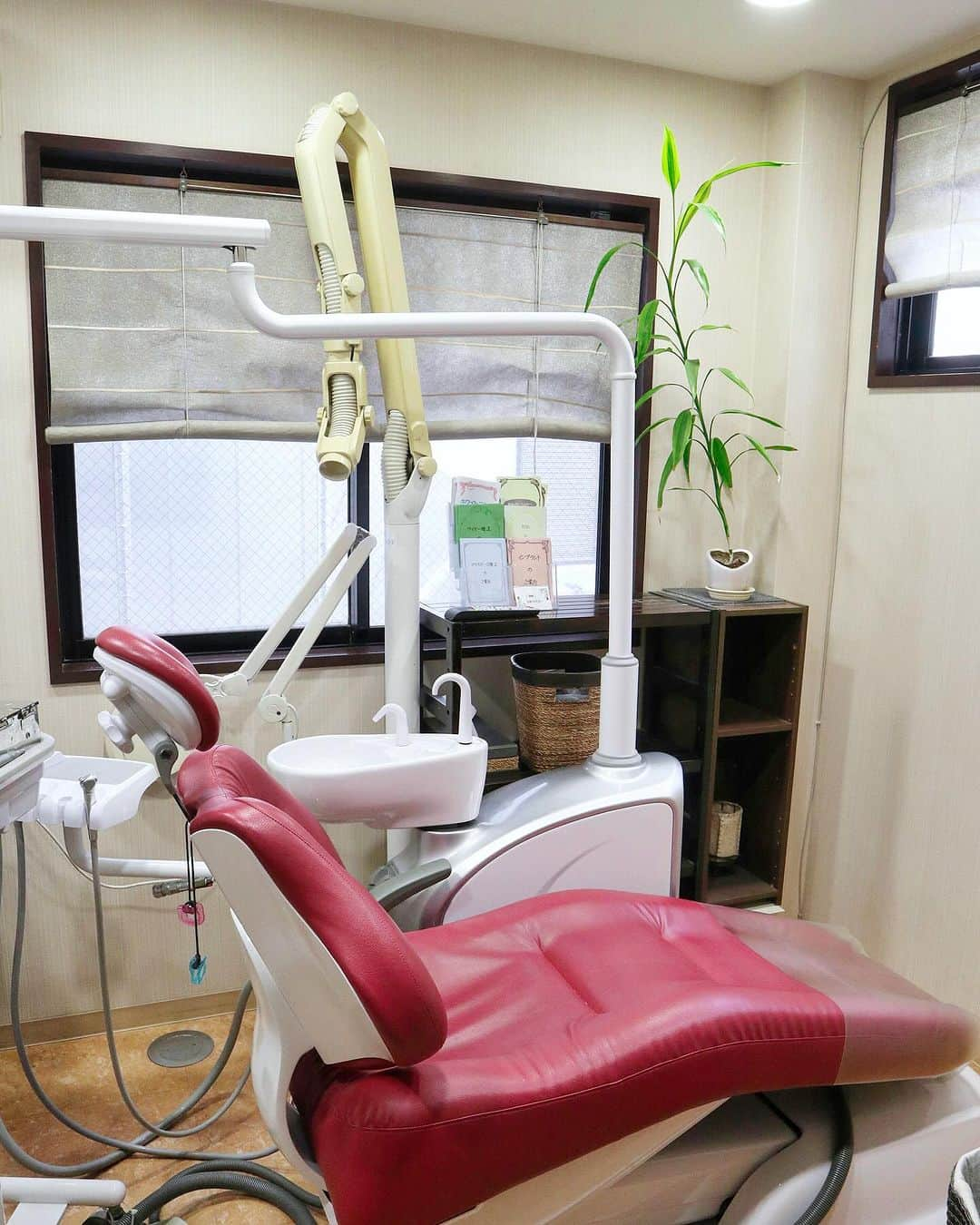 高橋晴香さんのインスタグラム写真 - (高橋晴香Instagram)「原宿にある @_hachiya_dentalclinic_ にて、こないだ久々に歯のホワイトニングしてきた✨ ⁡ ⁡ 最初に歯のクリーニングして頂いて🤍 ⁡ ⁡ その後にホワイトニング6分照射×3回！ ⁡ ⁡ 最後に汚れをつきにくくしてくれるアパタイトを塗って終了☺️ ⁡ ⁡ しみたりとかなく、20分もしないで終わった❣️ ⁡ ⁡ 歯医者さんなので、効果が目に見えてわかったし◎ ⁡ ⁡ 一度で歯のトーン上がって、白さUPして嬉しい🥰 ⁡ ⁡ ツヤツヤ✨ ⁡ ⁡ 歯が白いと印象もいいし、今後も歯は特に大事にしていきたい👌 ⁡ ⁡ 6枚目に載せたクーポンを見せると、私のフォロワーさん限定で、通常16500円のコースが11000円なるみたいなので興味ある方は是非利用してね💁‍♀️ ⁡ ⁡ ⁡ #PR #ホワイトニング #whitening #原宿ホワイトニング #はちやデンタルクリニック #歯医者 #ホワイトニングサロン」11月26日 20時34分 - haruka_takahashi0127