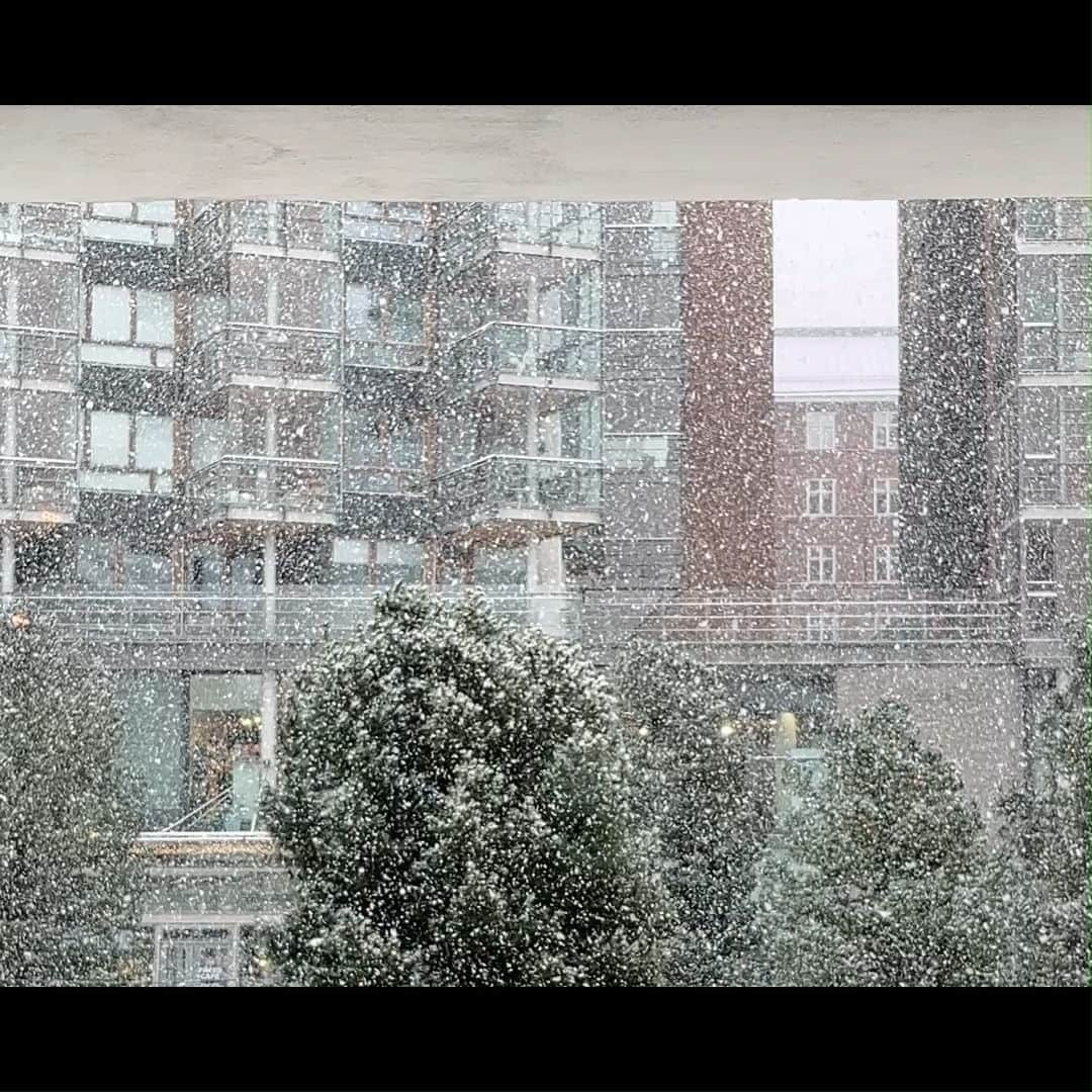 フィンランド政府観光局のインスタグラム：「今日のヘルシンキ❄️🌨️🌲 街の中心にあるカンピの様子です。😊  #visitfinland #ourfinland #visitfinlandjp #finland #北欧旅行 #travelgram #フィンランド #フィンランド政府観光局 #北欧 #travel #instatravel #travel #travelgram #travelling #traveler #旅したくなるフォト #旅行 #旅 #海外旅行 #travelphotography #旅行大好き #旅行好き #旅スタグラム #旅好き #ヨーロッパ旅行 #旅に出たい #トラベル  #myhelsinki #ヘルシンキ ＃#雪」