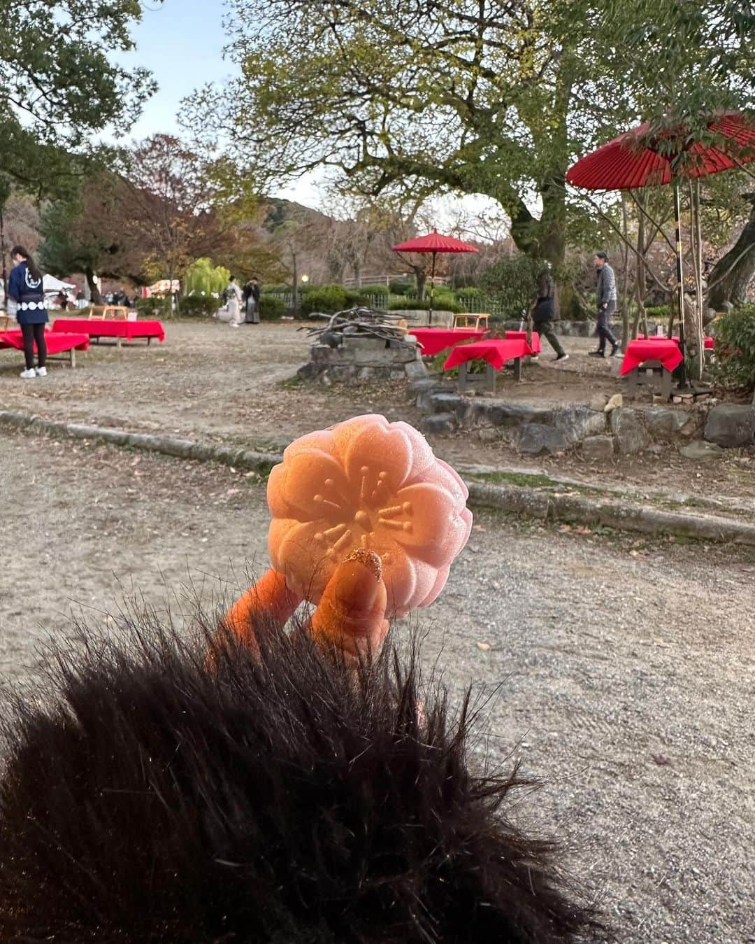 蒼川愛さんのインスタグラム写真 - (蒼川愛Instagram)「すっかり冷え込んだ秋の京都🍁 イベントで日帰りだったけど、美味しいご飯と澄んだ空気に癒されました🫶🏻 京都とっても良い場所だな〜またゆっくり神社巡りしに来たいな☺️☺️ . アウターは @resexxy_official です⛄️ 軽くて暖かくて、太ももすっぽり隠れる長さなので、膝上丈のボトムとの相性も🥰◎◎ . . . #アウター #ダウン #ダウンコート #リゼクシー #resexxy #resexxy_official」11月26日 21時05分 - tougarashi_suki