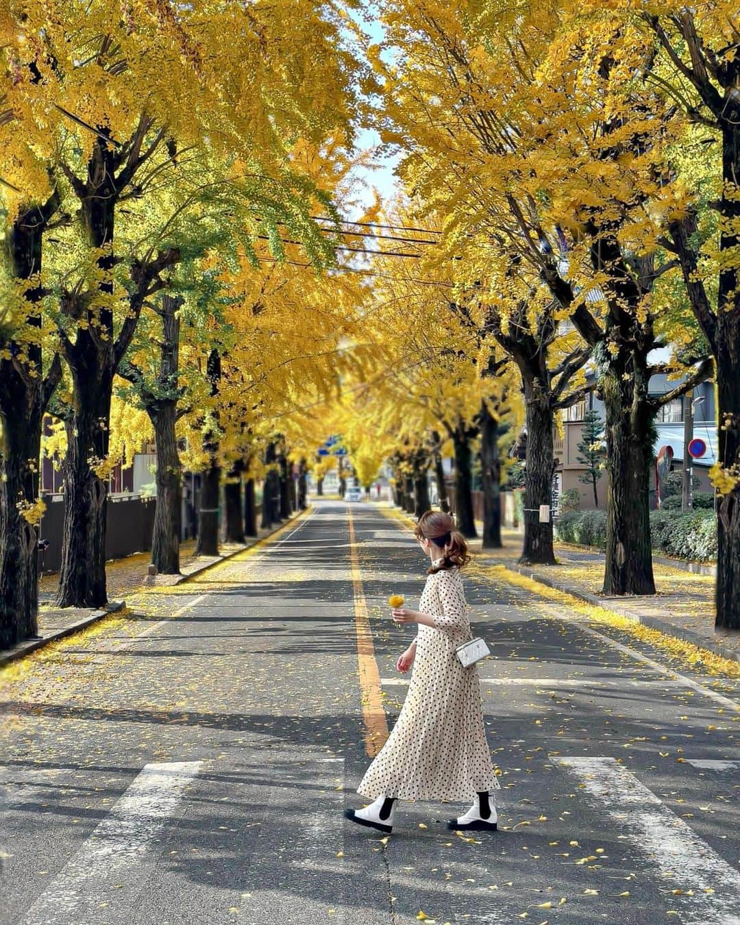 Yukicoさんのインスタグラム写真 - (YukicoInstagram)「‥  @yukicolifecom 🍂  天理市の「市の木」であるイチョウ🍂  およそ700メートルの通りが黄金色に✨✨ 車でくぐり抜ける イチョウ並木のトンネルが最高でした😮‍💨🍂  ⚠️靴底はフラットなデザインがおすすめです 銀杏事情によりケアが大変ですw💭 （靴裏洗いましたw）  @yukicolifecom  ——————————————————— 天理市イチョウ並木の紅葉 期間	:2023/10/21~11/30 時間	: 24時間  #yellowmood  #autmncolors  #奈良観光  #天理いちょう並木  #天理イチョウ並木  #銀杏並木  #絶景 #日本絶景」11月26日 20時44分 - yukicolifecom