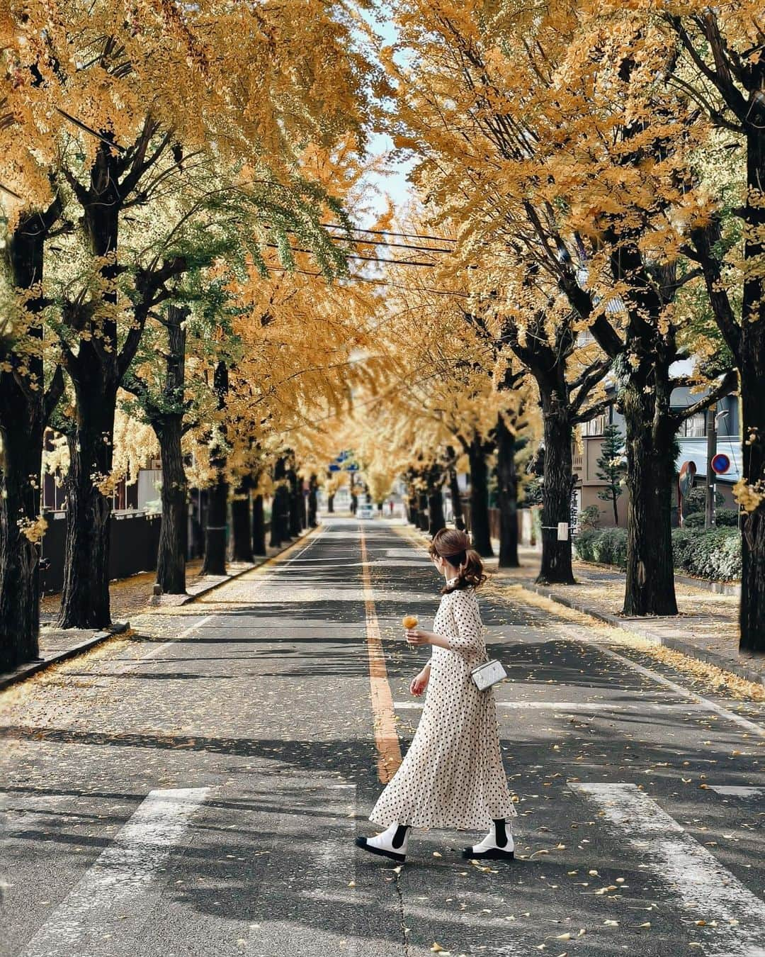 Yukicoのインスタグラム：「‥  @yukicolifecom 🍂  天理市の「市の木」であるイチョウ🍂  およそ700メートルの通りが黄金色に✨✨ 車でくぐり抜ける イチョウ並木のトンネルが最高でした😮‍💨🍂  ⚠️靴底はフラットなデザインがおすすめです 銀杏事情によりケアが大変ですw💭 （靴裏洗いましたw）  @yukicolifecom  ——————————————————— 天理市イチョウ並木の紅葉 期間	:2023/10/21~11/30 時間	: 24時間  #yellowmood  #autmncolors  #奈良観光  #天理いちょう並木  #天理イチョウ並木  #銀杏並木  #絶景 #日本絶景」