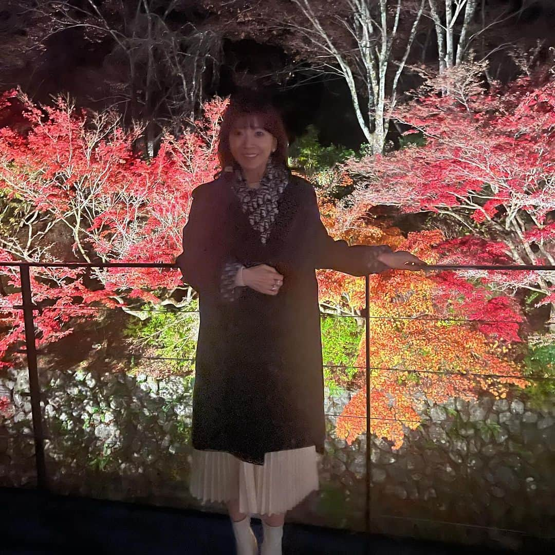 君島十和子さんのインスタグラム写真 - (君島十和子Instagram)「紅葉を見に🍁 京都に…  冬の闇夜に 浮かび上がる 錦繍の美しさ。 ひんやりした冬の 星座さえ霞んでしまう 鮮やかさが沁みました。 👉🏻4枚目からの動画はまだ良いかな？ 写真の撮り方が追い付かず、あの壮麗さが お伝えしきれないことが心残りです。  #紅葉狩り #京都紅葉 #家族 #秋 #夜景 #アラ還  #君島十和子」11月26日 21時00分 - ftcbeauty.official