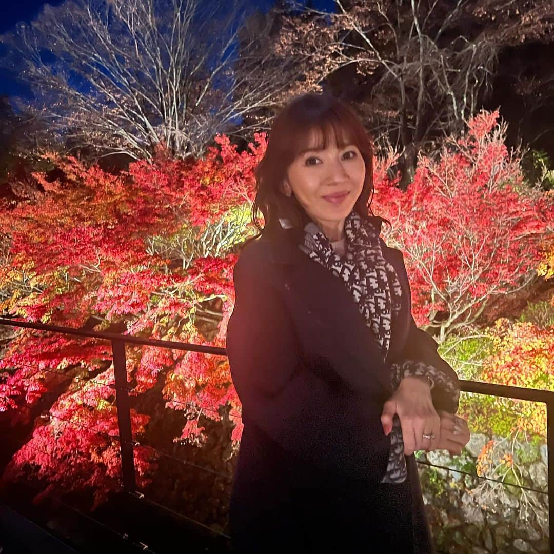 君島十和子さんのインスタグラム写真 - (君島十和子Instagram)「紅葉を見に🍁 京都に…  冬の闇夜に 浮かび上がる 錦繍の美しさ。 ひんやりした冬の 星座さえ霞んでしまう 鮮やかさが沁みました。 👉🏻4枚目からの動画はまだ良いかな？ 写真の撮り方が追い付かず、あの壮麗さが お伝えしきれないことが心残りです。  #紅葉狩り #京都紅葉 #家族 #秋 #夜景 #アラ還  #君島十和子」11月26日 21時00分 - ftcbeauty.official