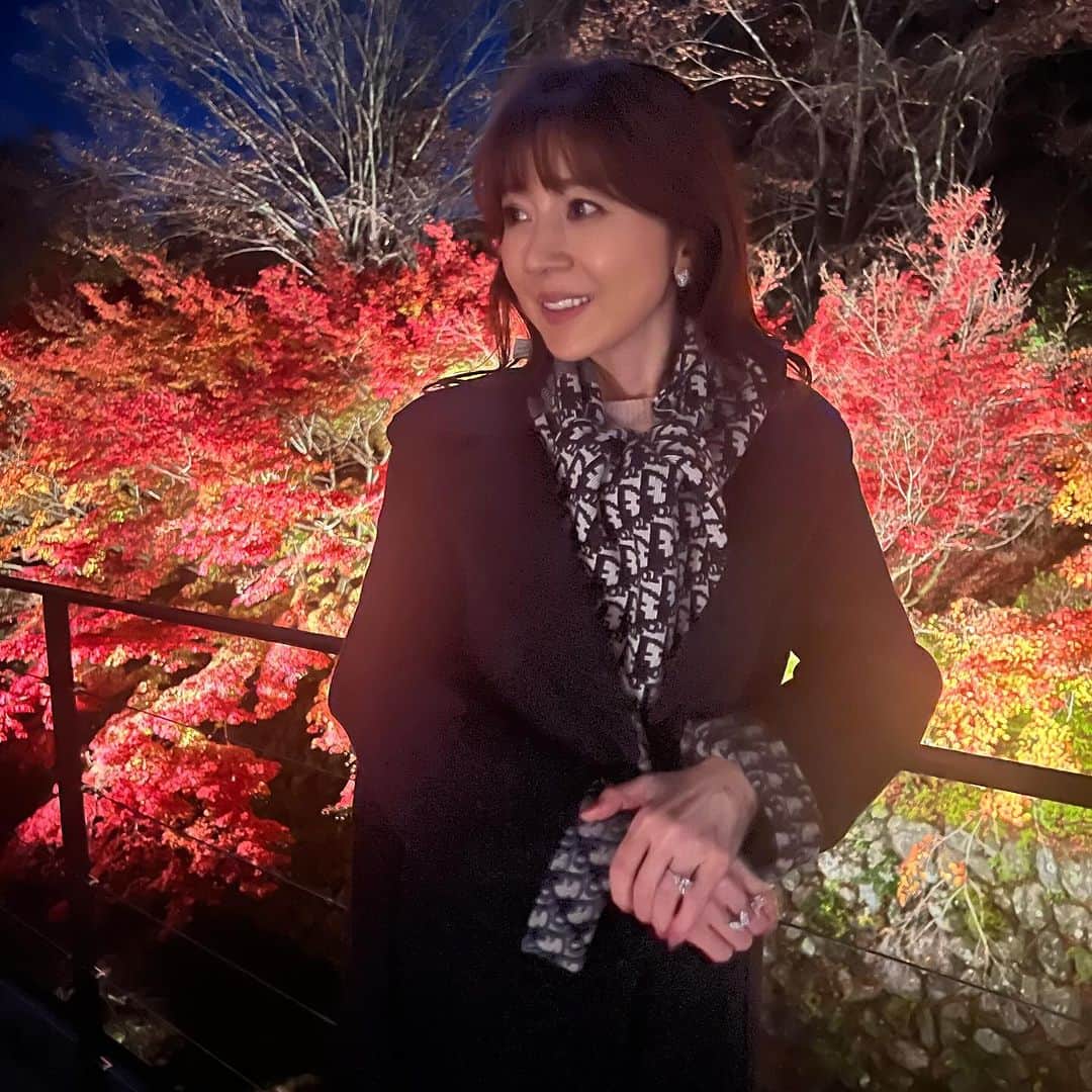 君島十和子のインスタグラム：「紅葉を見に🍁 京都に…  冬の闇夜に 浮かび上がる 錦繍の美しさ。 ひんやりした冬の 星座さえ霞んでしまう 鮮やかさが沁みました。 👉🏻4枚目からの動画はまだ良いかな？ 写真の撮り方が追い付かず、あの壮麗さが お伝えしきれないことが心残りです。  #紅葉狩り #京都紅葉 #家族 #秋 #夜景 #アラ還  #君島十和子」
