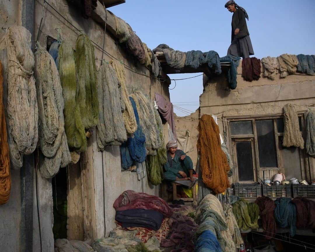 AFP通信のインスタグラム：「Afghan workers dye wool threads for carpets, in a traditional factory at old market in Mazar-i- Shari on November 2023.⁣ ⁣ 📷 @atif.aryan1 ⁣ #AFPPhoto」