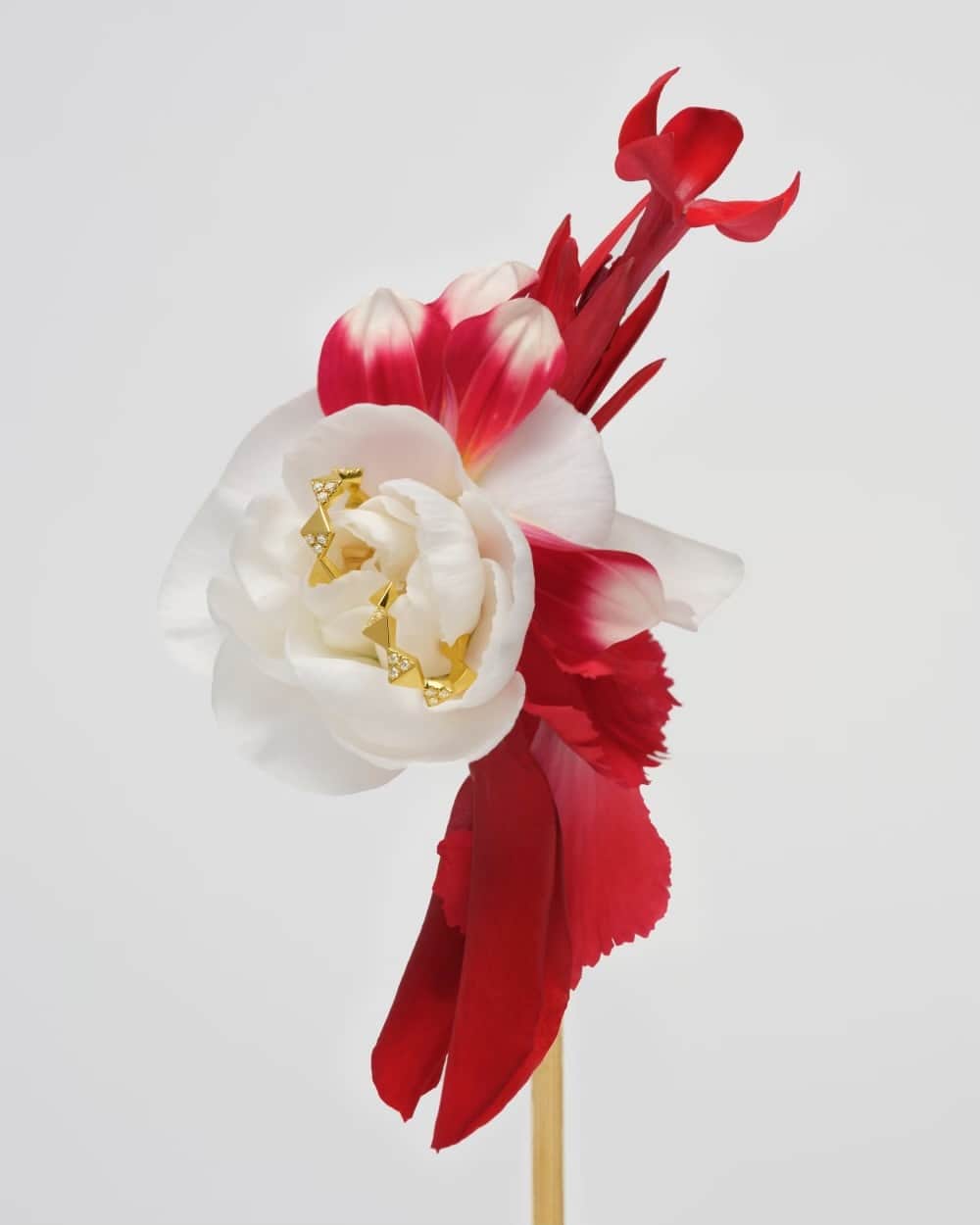 アーカーのインスタグラム：「. AHKAH signature × CEREUS NIGHTS  　 ロンドンを拠点に活動するCEREUS NIGHTS FLOWER STUDIO（@cereusnights）とのコラボレーション。 　 花びらとジュエリーが織り成す洗練されたモダニティは、クールな美しさと優雅さが共存。 魅惑的な煌めきがホリデーシーズンを彩ります。 　 #AHKAH #AHKAHsignature #アーカー #アーカーシグネチャー」