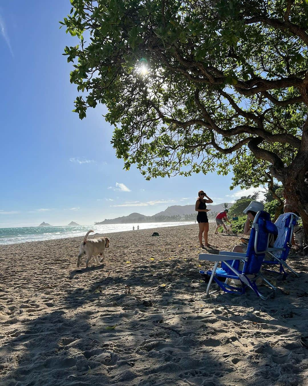 平アスカさんのインスタグラム写真 - (平アスカInstagram)「Hawaiiでの、あさごはん。🌴🌅 🟠プルメリアビーチハウス カハラにはいってるビュッフェスタイルのお店です！！シンパンケーキに濃厚なメープルバターソースをたっぷりと絡めた、ハワイ伝統の味！オムレツもその場でつくってくれるスタイル 🟠 @naluhealthbar サンドイッチはクロワッサン🥐生地。 アサイーボウル、甘さ控えめでとっても美味しかった、、🍓🫐 🟠 @wholefoods カイルア デリを選んで買って近くのカイルアビーチでたべたよ！鳩が邪魔して来て大変でした笑 . . . Hawaiiに行くときに役立つはず！ ぜひ保存してね！ #hawaii #hawaiitrip #breakfast #パンケーキ #シンパンケーキ #ザカハラホテル #nalu #naluhealthbar #wholefoodsmarket #waikiki #kahala #カイルア #kailua #kailuabeach」11月26日 21時04分 - asucataira