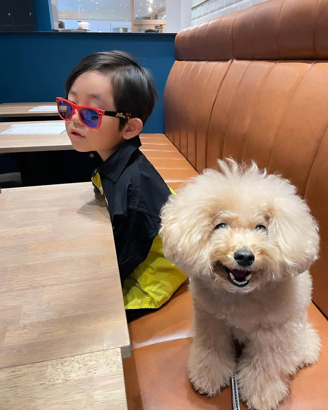 佐倉真衣さんのインスタグラム写真 - (佐倉真衣Instagram)「代々木公園近くにある"犬は家族"をコンセプトにした、 Cafe【NINE9+】が 11月27日（月）に六本木ヒルズにオープンするという事で、 シャルルさんを連れてレセプションにお邪魔しました😄🐶 @nine9roppongi   素敵な内装でフォトスポットもあり、みんなでパチリ📸  ちゃんとお食事もスイーツも犬用フードもドリンクも全てが美味しくて感動しました✨ シャルルさんもペロリ完食😋  お店の方もとにかく優しいし、キュートな看板犬たちは席まで挨拶に来てくれるし、ルールが守れれば犬をフリーにできるからほんとに犬達が楽しそうで😊まさにパラダイス🌴  ここは絶対に通うなと思いました🩷 もちろん犬を飼ってない方も行けるから、みなさん癒されに行ってみてね🐾  #cafenine #dogcafe #六本木ヒルズ #ドッグカフェ #ビションプー #シャルルさん」11月26日 12時19分 - maitanaka20