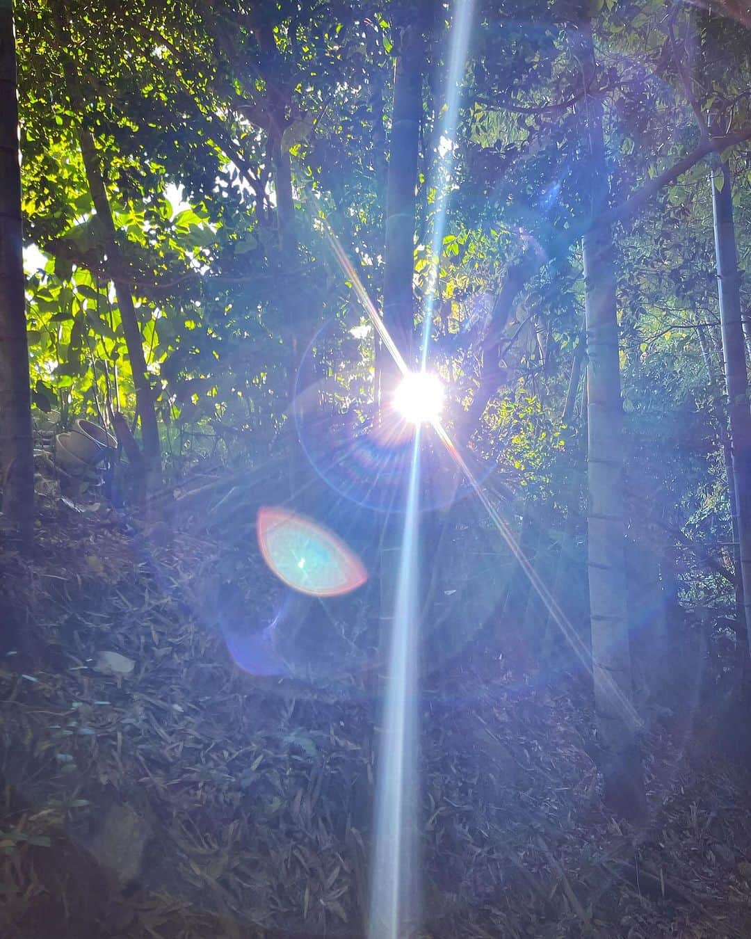 アンミカのインスタグラム：「長年お世話になっている神社にて、魂の洗濯を✨  私にとって、祈る時間はとてもとても大切✨✨  ふわふわグラグラしと寄り道し、あちこちにぶち当たっていた自分が中心に戻り、心定めることができるから。  また今日から心新たに、2023年の締めくくりに向けて駆け抜けられそうです！  皆様も、あなたの笑顔が誰かの心を照らす1日を😊✨😍  明日11/27(月)は  ・19:00〜20:00 フジテレビ（全国） 【ネプリーグ】〜東京🗼  ・23:00〜23:30 NHK総合（全国） 【超多様性トークショー！なれそめ】に出演です！  お時間許す方は是非、ご覧下さいませ‼️」