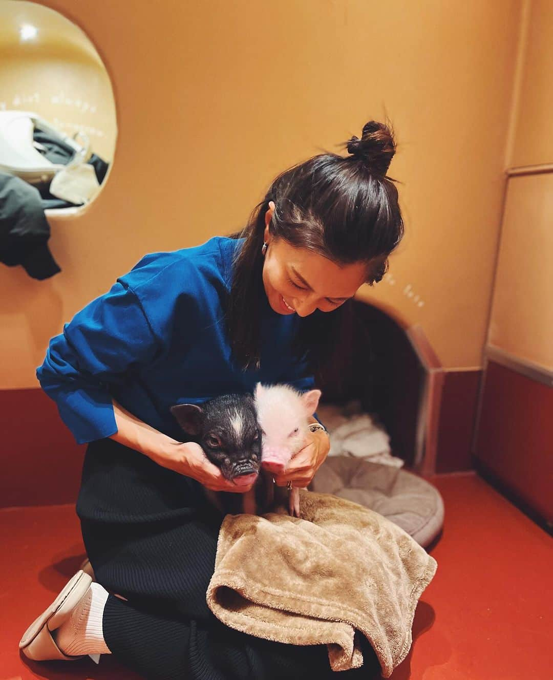 安田美沙子のインスタグラム：「ブタ🐖さんに会いに行ってきました🐽  可愛すぎて癒された🤍🤍🤍  甘えん坊で、ちっちゃくて、しっぽふりふりして。。  たまらなかった❤️  またすぐ会いに行きたい🐷  #ブタ #ブタカフェ #エジプト博物館 #初体験だらけ」