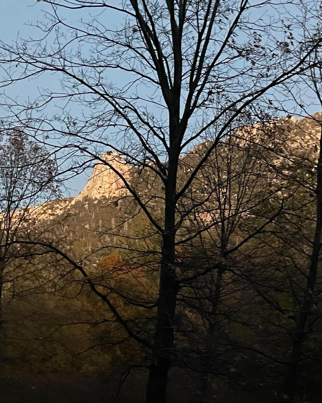 シャロン・ローレンスさんのインスタグラム写真 - (シャロン・ローレンスInstagram)「Friendships flourish in this forest town. Idyllwild on a #thanksgiving weekend with long time pals @meredithscottlynn , of @writebrainbooks  and at the #harvest market and relaxing at @georgiesmith_home and @melissgoddard serene cabin. I’m grateful for these #mountaingirls 🙏🏻」11月26日 12時34分 - sharonelawrence