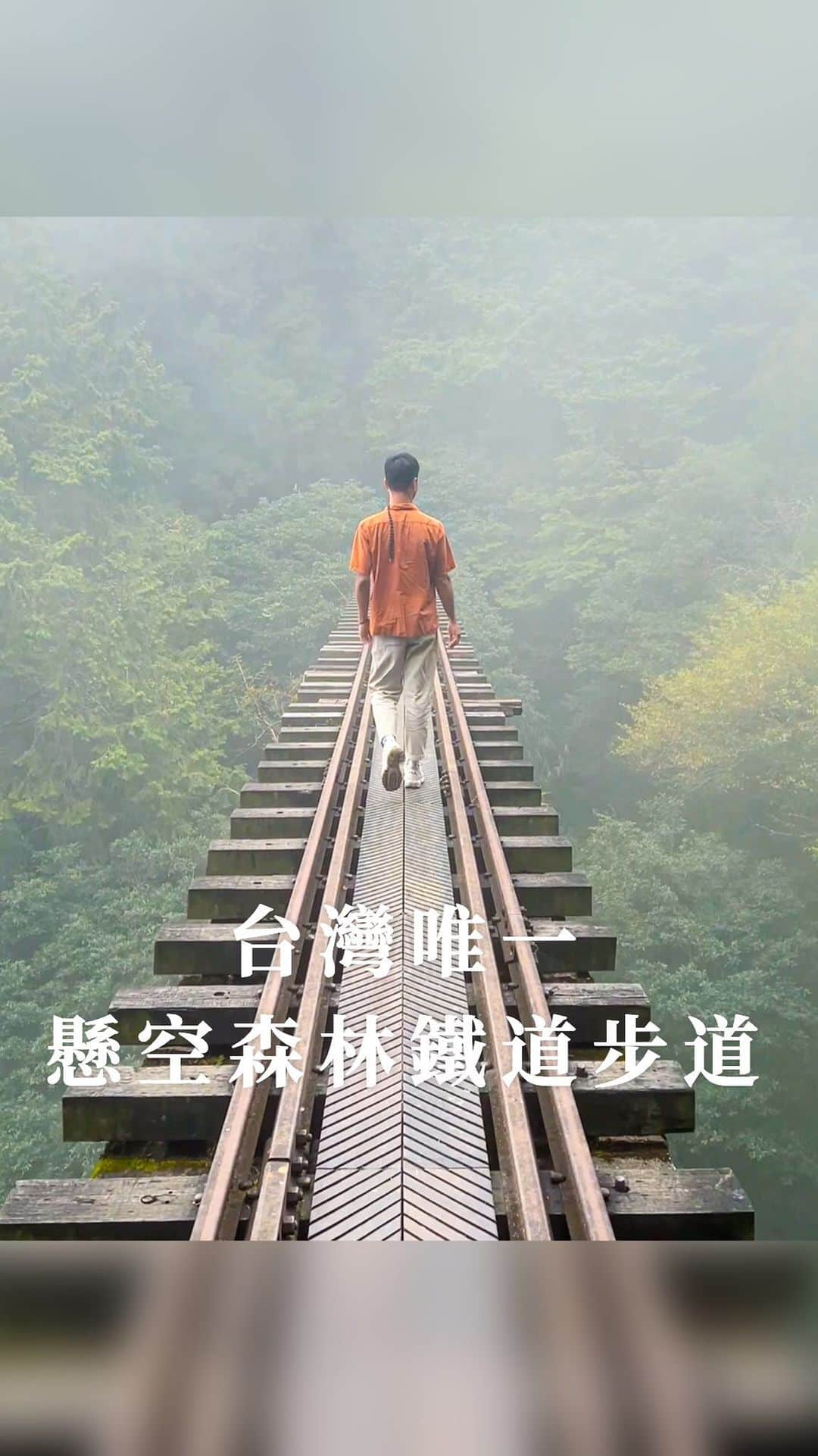 樂のインスタグラム：「台灣唯一懸空森林鐵道步道⛰️🌲 步道沿路充滿歷史的痕跡，風景非常美，很像走進宮崎駿山獸神的森林😍 Tag你想一起去嘉義旅行的人 - 📍阿里山。眠月線 需於出發前5-30天，上林務局申請「臺灣一葉蘭自然保留區」的通行證！ 每日限300人，建議大家假日提早申請，超過人數須抽籤⚠️ 走懸空鐵道時，也要注意自身安全喔❤️ #嘉義#嘉義景點#阿里山#眠月線#阿里山森林遊樂區 #chiayi #chiayitravel #台灣景點 #台灣旅遊 #taiwan」