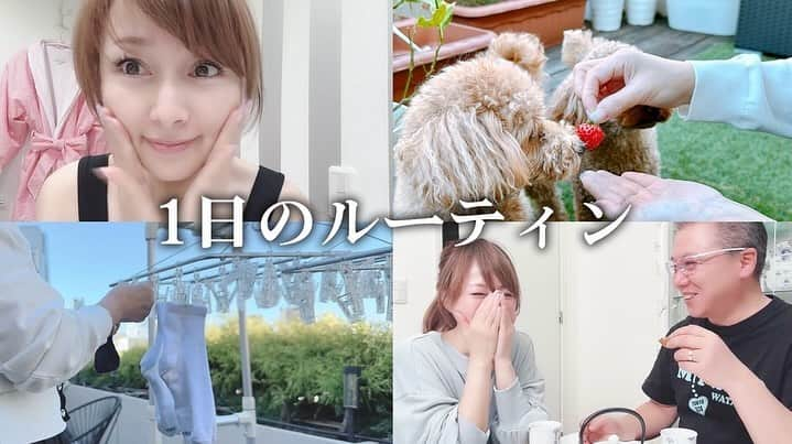 渡辺美奈代のインスタグラム：「YouTube更新しました！  ある日の1日のルーティンです  https://youtu.be/yFvl7WdPnU4  #渡辺美奈代  #youtube  #ルーティン  #ある日の1日  #更新」