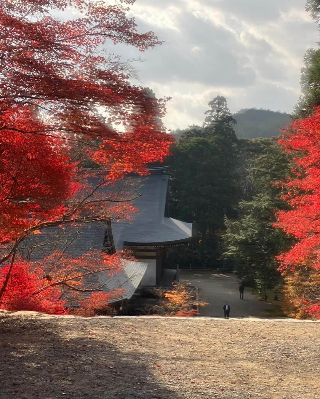 小柳ルミ子さんのインスタグラム写真 - (小柳ルミ子Instagram)「京都の紅葉🍁  今年も京都の友人にお願いして 美しい紅葉の写真を送って貰いました💕  高尾山近くの神護寺だそうです😊  真っ青な青空に 燃える様に真っ赤な紅葉🍁  美しいなぁ💕  京都行きたいなぁ〜😆 四季を通して美しく魅力ある京都🥰 来年こそは行こうかな🥰  ⠀  #京都 ⠀ #紅葉 ⠀ #高尾山 ⠀ #神護寺 ⠀ #京都大好き ⠀ #旅行 ⠀ #旅 ⠀ #秋 ⠀ #京都の秋 ⠀ #四季 ⠀ #日本の四季 ⠀ #友人 ⠀ #友達 ⠀ #写真好きな人と繋がりたい ⠀ #写真 ⠀ #大好き ⠀ #そうだ京都行こう ⠀ #小柳ルミ子」11月26日 13時24分 - rumiko_koyanagi