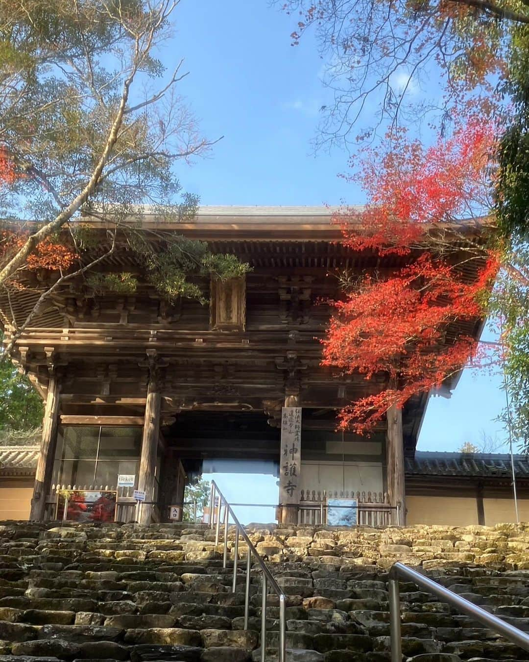 小柳ルミ子さんのインスタグラム写真 - (小柳ルミ子Instagram)「京都の紅葉🍁  今年も京都の友人にお願いして 美しい紅葉の写真を送って貰いました💕  高尾山近くの神護寺だそうです😊  真っ青な青空に 燃える様に真っ赤な紅葉🍁  美しいなぁ💕  京都行きたいなぁ〜😆 四季を通して美しく魅力ある京都🥰 来年こそは行こうかな🥰  ⠀  #京都 ⠀ #紅葉 ⠀ #高尾山 ⠀ #神護寺 ⠀ #京都大好き ⠀ #旅行 ⠀ #旅 ⠀ #秋 ⠀ #京都の秋 ⠀ #四季 ⠀ #日本の四季 ⠀ #友人 ⠀ #友達 ⠀ #写真好きな人と繋がりたい ⠀ #写真 ⠀ #大好き ⠀ #そうだ京都行こう ⠀ #小柳ルミ子」11月26日 13時24分 - rumiko_koyanagi