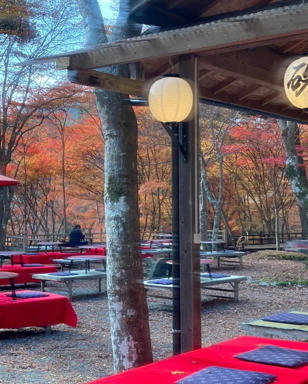 小柳ルミ子さんのインスタグラム写真 - (小柳ルミ子Instagram)「京都の紅葉🍁  今年も京都の友人にお願いして 美しい紅葉の写真を送って貰いました💕  高尾山近くの神護寺だそうです😊  真っ青な青空に 燃える様に真っ赤な紅葉🍁  美しいなぁ💕  京都行きたいなぁ〜😆 四季を通して美しく魅力ある京都🥰 来年こそは行こうかな🥰  ⠀  #京都 ⠀ #紅葉 ⠀ #高尾山 ⠀ #神護寺 ⠀ #京都大好き ⠀ #旅行 ⠀ #旅 ⠀ #秋 ⠀ #京都の秋 ⠀ #四季 ⠀ #日本の四季 ⠀ #友人 ⠀ #友達 ⠀ #写真好きな人と繋がりたい ⠀ #写真 ⠀ #大好き ⠀ #そうだ京都行こう ⠀ #小柳ルミ子」11月26日 13時24分 - rumiko_koyanagi