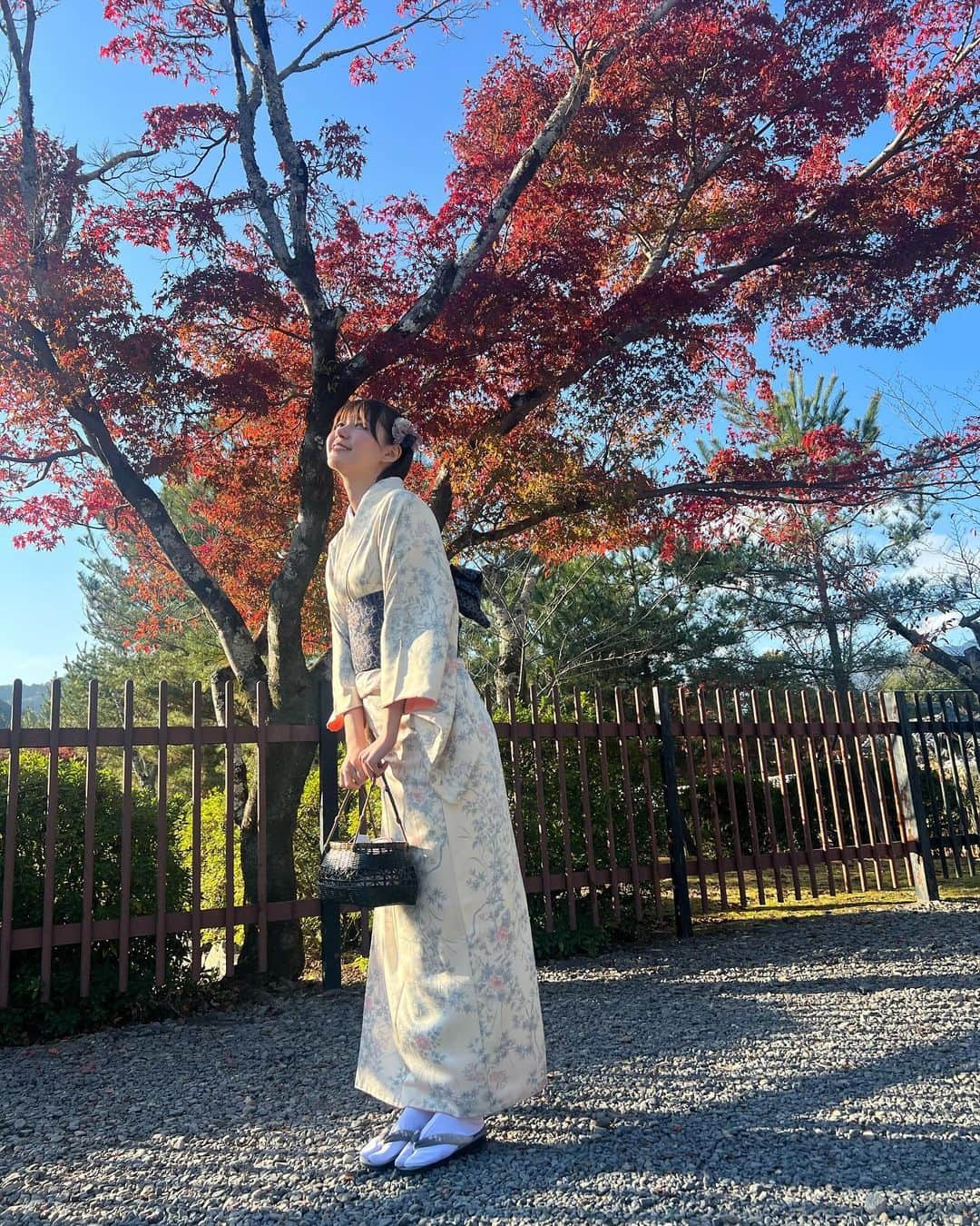 ゆきりぬさんのインスタグラム写真 - (ゆきりぬInstagram)「動画はもう見てくれたかな🎥？？ 京都でお着物着てたくさんお散歩したよ🍁 高校生の家族旅行ぶりに金閣寺を見た！笑 嵐山に初めて行ったんだけど人が多すぎてびっくり💦💦」11月26日 14時24分 - yukirin_u