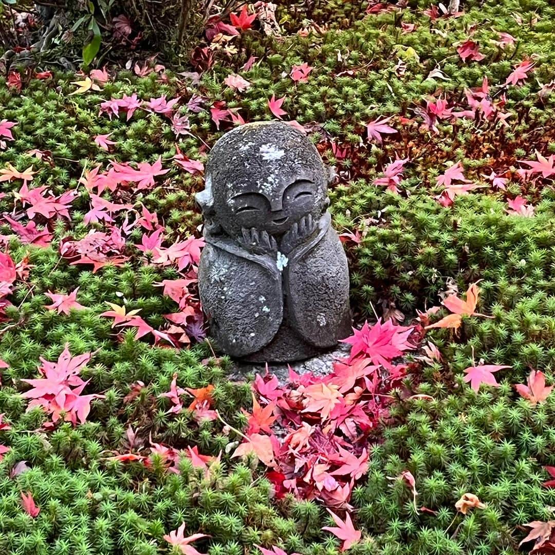 ムッシュピエールのインスタグラム