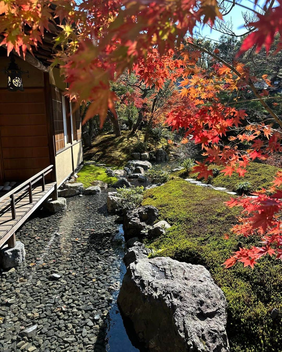 前澤友作さんのインスタグラム写真 - (前澤友作Instagram)「そうだ京都行こう！  My villa in Kyoto.」11月26日 14時40分 - yusaku2020