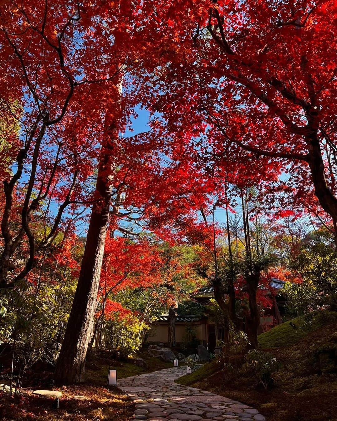 前澤友作さんのインスタグラム写真 - (前澤友作Instagram)「そうだ京都行こう！  My villa in Kyoto.」11月26日 14時40分 - yusaku2020