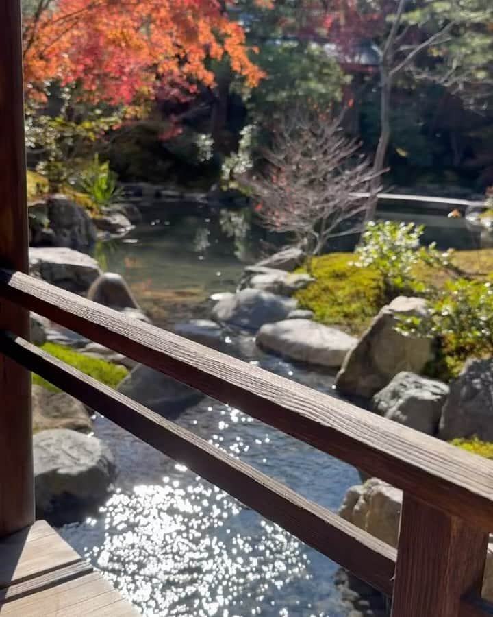 前澤友作のインスタグラム：「そうだ京都行こう！  My villa in Kyoto.」