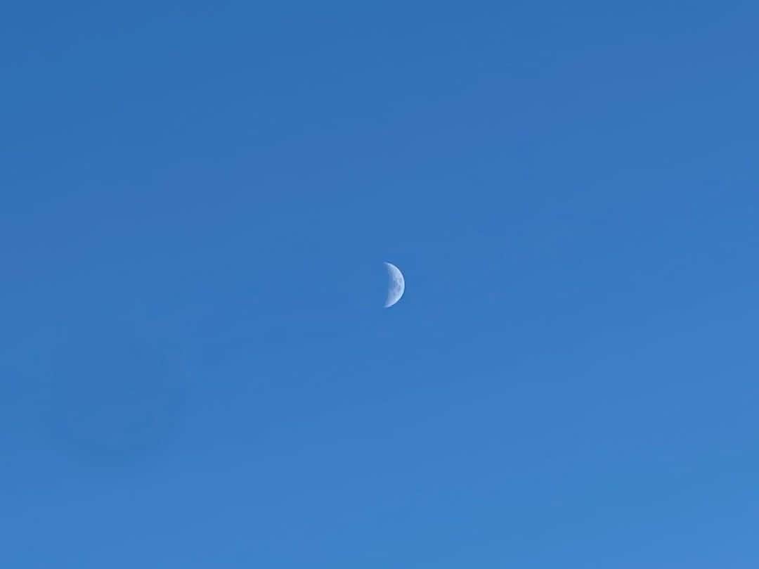 渡辺瑠海さんのインスタグラム写真 - (渡辺瑠海Instagram)「. 先週のイロドリは青い空に浮かぶ白い月🌛  先週の日曜は快晴だったので かわいい白い月を撮影できましたが 今日の東京はくもり空、、、  気温が低い上に霧状の雨も降っているので より寒く感じます🌧️  サンデーステーション 今夜も9時から放送です よろしくお願いします📺  衣装 @celford_official   #サンステ #サンデーステーション #お天気コーナー #きょうのイロドリ」11月26日 15時25分 - rumi_watanabe_ex