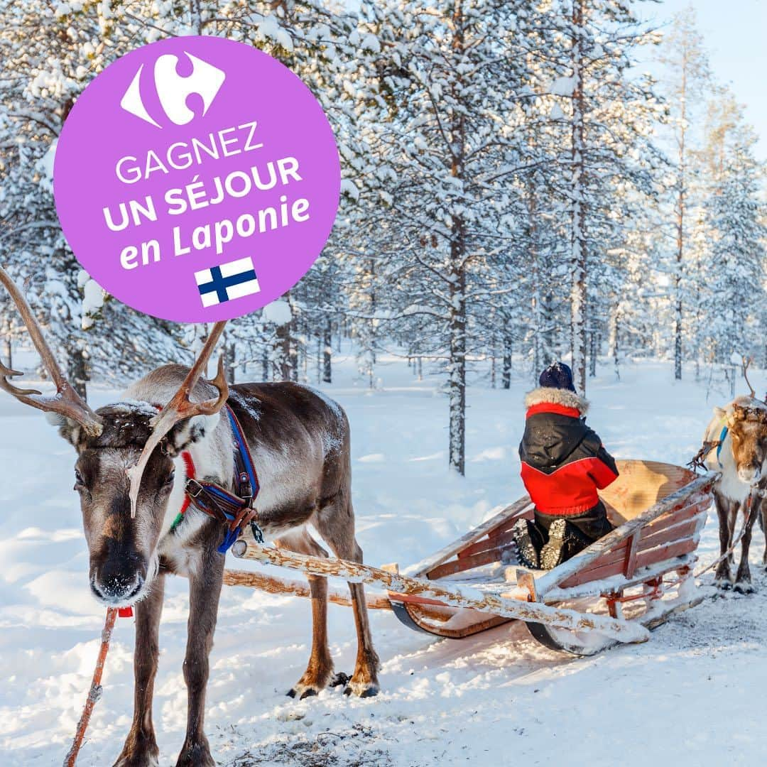 Carrefour Franceのインスタグラム：「[JEU CONCOURS] Pensez à vos prochaines vacances au pays du Père Noël ! 😎❄ On vous fait gagner un séjour en Laponie pour 2 personnes 🦌🇫🇮⛄  Pour participer, il vous suffit de : - Suivre notre compte @carrefourfrance - Identifier 2 amis en commentaire  Le gagnant sera tiré au sort le 8/12 🤩  #carrefour #jeuconcours #laponie」