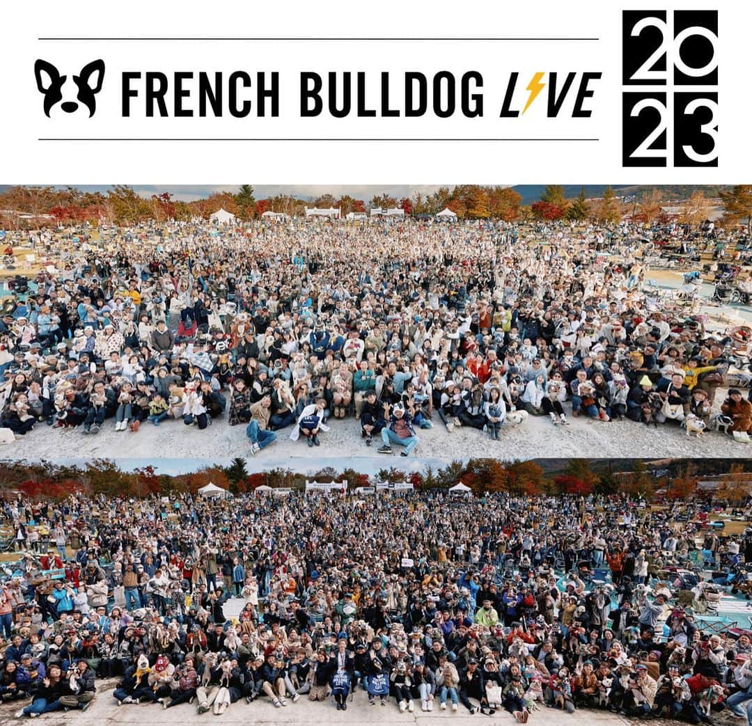 French Bulldog Lifeのインスタグラム：「【フレブルLIVE2023 イベントレポート大公開⚡️】 みなさま、大変お待たせしました！  のべ6,500人・4,500頭のフレンチブルドッグが集結した「フレブルLIVE2023」の全貌を、ついに大公開！  スナップあり、ステージコンテンツの模様あり、ショッピング中のご様子まで。  今回も、臨場感満載ですよ。  そして… みなさまのアンケートを拝読し、来年も「2days開催」を予定しています！  今年のことを思い出しながら。 そして来年に思いを馳せて。  「フレブルLIVE2023」のレポートをお楽しみくださいませ！  ★記事は「フレブルライフ」よりご覧ください @french.bulldog.life  #フレブルLIVE #フレブルライフ」