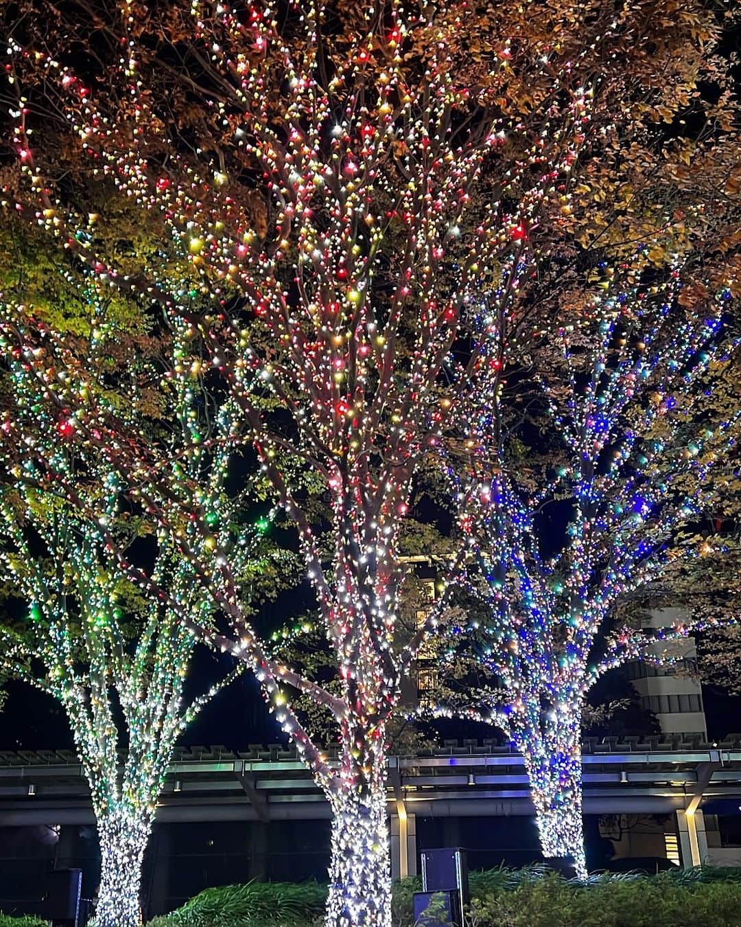 西原有紀さんのインスタグラム写真 - (西原有紀Instagram)「Christmas preparation🎄  ✳︎ ✳︎ ✳︎  街中もクリスマスバージョンで色づいてきましたね🎅       🌟     🎄    🎄🎄   🎄⁣🎄🎄  🎄🎄🎄🎄 🎄🎄🎄🎄🎄   🎁🎁🎁」11月26日 21時25分 - u_ki0211