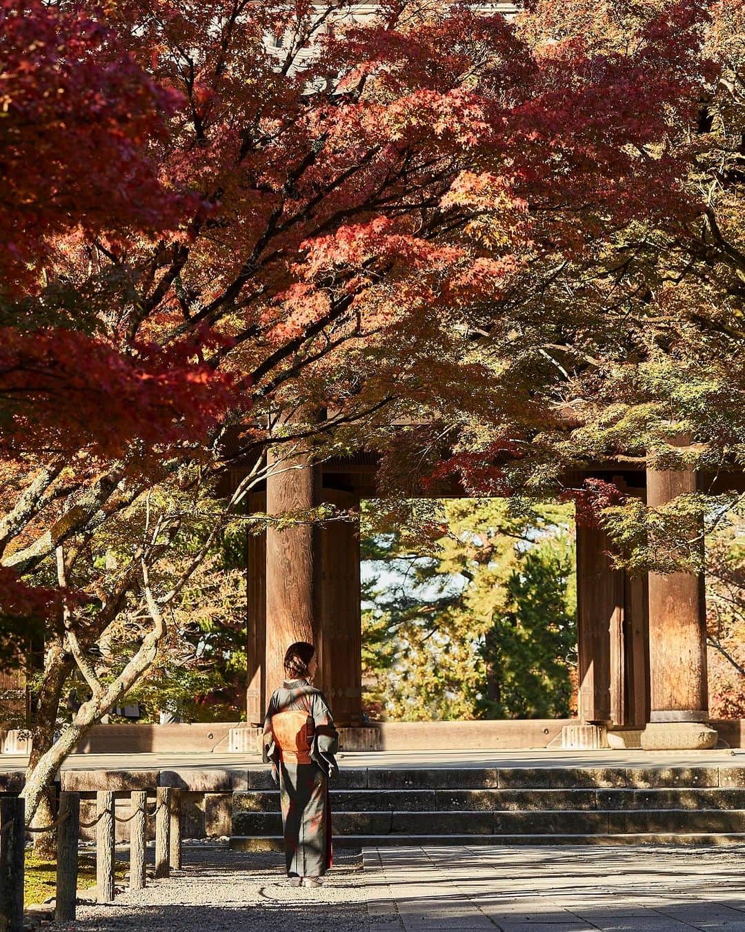 THE WESTIN KYOTO ウェスティン都ホテル京都さんのインスタグラム写真 - (THE WESTIN KYOTO ウェスティン都ホテル京都Instagram)「美しい秋の彩りが見頃の南禅寺。 ホテルからは徒歩圏内で、朝の散策がおすすめです。   #紅葉　#秋の京都　#南禅寺　 #そうだ京都いこう #ウェスティン都ホテル京都 #westinmiyakokyoto #kyotojapan #kyototrip #nanzenji」11月26日 21時27分 - westinmiyakokyoto