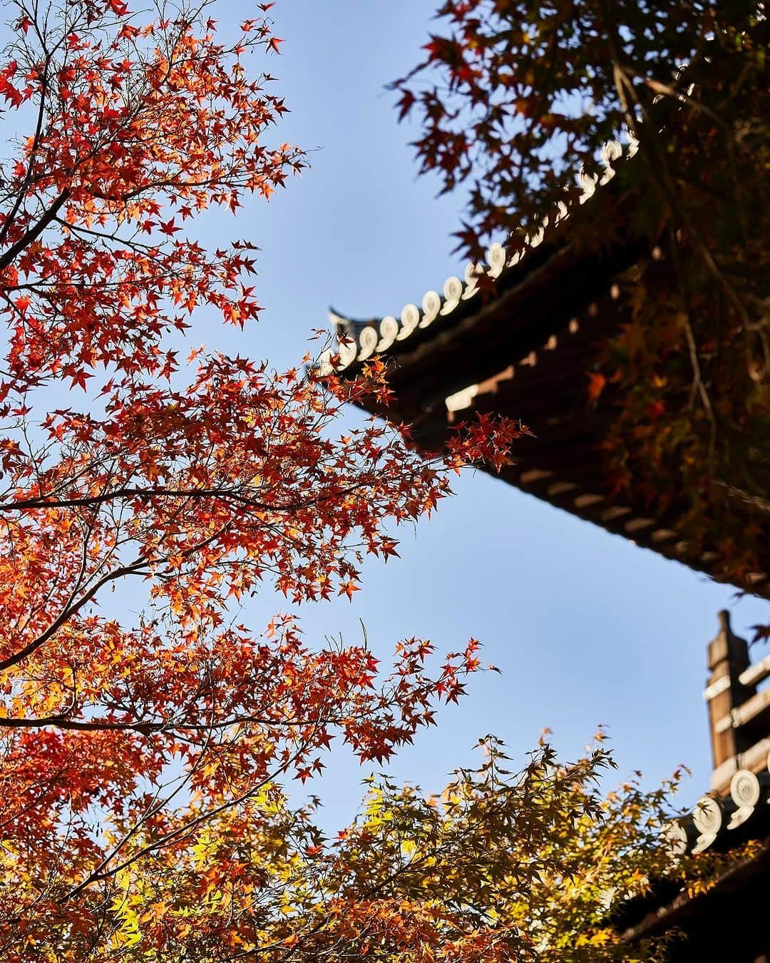 THE WESTIN KYOTO ウェスティン都ホテル京都のインスタグラム：「美しい秋の彩りが見頃の南禅寺。 ホテルからは徒歩圏内で、朝の散策がおすすめです。   #紅葉　#秋の京都　#南禅寺　 #そうだ京都いこう #ウェスティン都ホテル京都 #westinmiyakokyoto #kyotojapan #kyototrip #nanzenji」