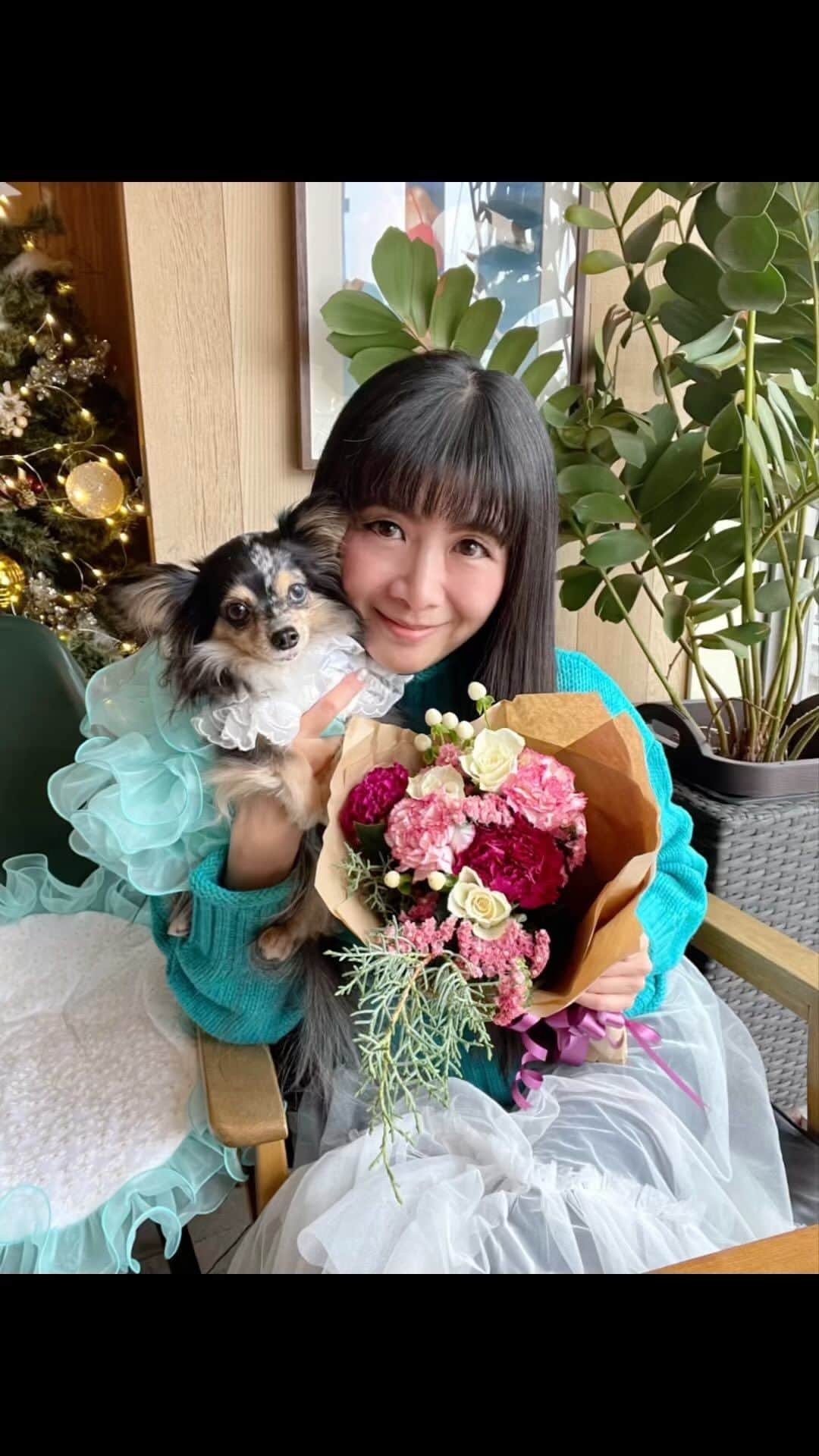 外村美姫のインスタグラム：「11月26日(日)ティファニー7歳になりました。HAPPY BIRTHDAY TIFFANY!! わんこの7歳は人間でいうと54歳位。 元気で長く一緒にいられますように。  お誕生日ランチに、志保ちゃんが来てくれたよ!! @shi4arai ドッグデプトカフェ 浅草 お誕生日のお祝いです!! 志保ちゃん＆リアム君から、お祝いの花束を頂いて、感激。クリスマスっぽくて可愛いぃぃぃ。ありがとう❤️❤️❤️  お祝いプレートはローストビーフ。ピンクのお皿で可愛いねーーー。お肉は嬉しいよね!!意外とボリュームあり。志保ちゃんが小さく切ってくれました!!更にバースデーソングを歌ってくれて、あたしゃもう、前がにじむ喜びと感動😭😭😭  ツリーの前にお席を作って撮影など。お天気がよかったらテラス席利用も楽しそうですね!!でも今日は雨でしたが…。心は晴れ晴れ。  お祝いで伺ったお店 ドッグデプトカフェ 浅草 隅田川テラス店DOG DEPT CAFE  @dogdept_asakusa  やさいや六本木店 @teppanyaki_yasaiya_dogs  イチホテル浅草橋 @dog_friendly_hotel . #外村美姫 #チワックスティファニー #ティファニーと朝食を #誕生日会 #誕生日 #誕生日プレゼント #誕生日サプライズ #誕生日プレート #わんこ #11月26日生まれ #11月26日 #7歳 #犬 #犬のいる暮らし #犬バカ部 #チワックス #チワックス倶楽部 #チワックス部 #チワックスタグラム #ドッグカフェ #チワックス党 #HAPPYBIRTHDAY #オッドアイ #11月生まれ #わんこのいる生活 #カフェ #カフェ巡り #カフェランチ #わんことお出かけ #親子コーデ」