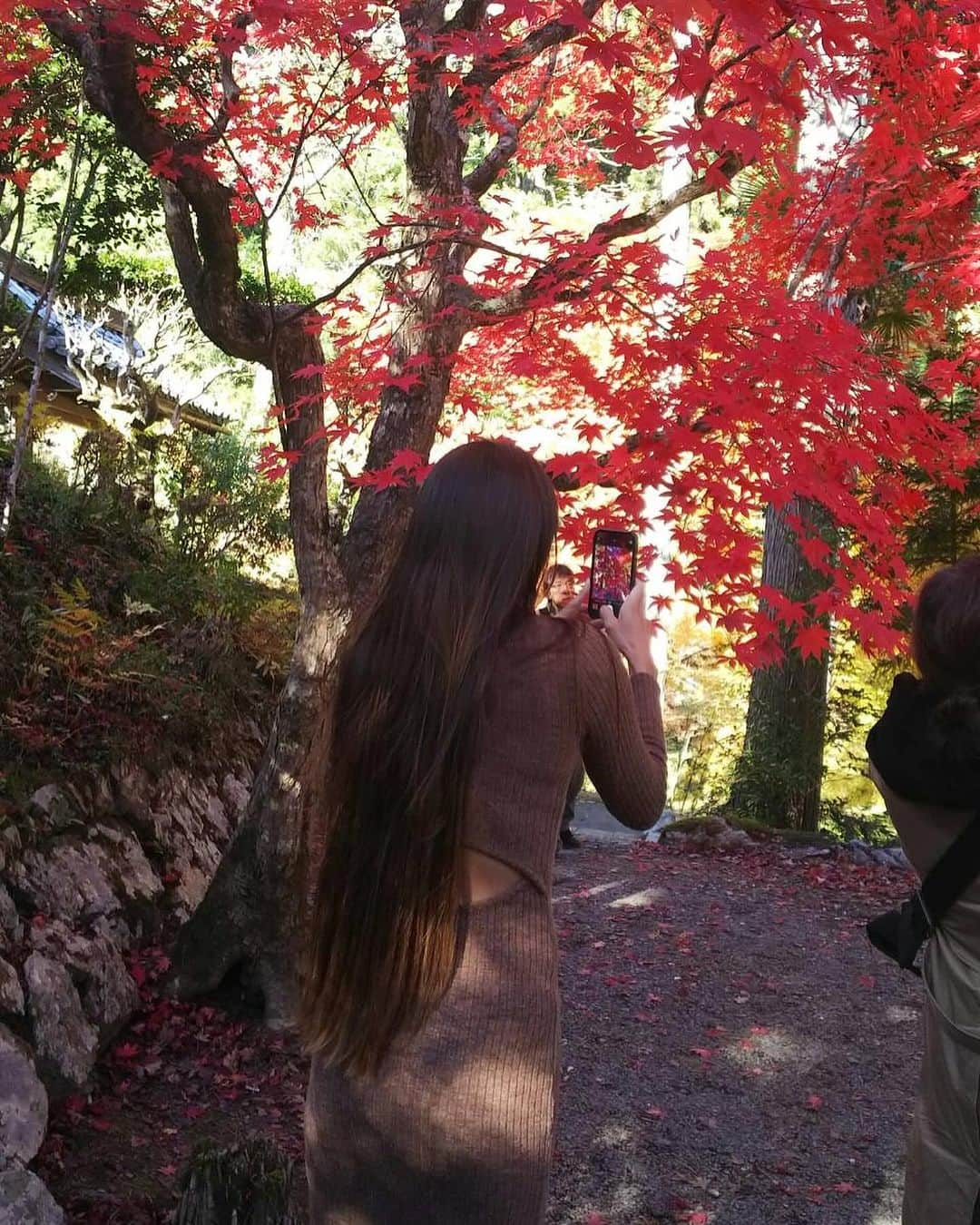 道端カレンさんのインスタグラム写真 - (道端カレンInstagram)「🍁🍁  紅葉見物  紅葉の京都南丹市の龍隠寺という禅寺の紅葉がとっても綺麗でした。 新幹線に乗る前に時間が余ったので連れて行っていただきました。 それでも今年、夏が長く続き気温が高かった為、紅葉はあまり綺麗ではないようです。 綺麗に色付くには寒暖差がしっかりあると美しい色を出すそうです。  京都には桜の時期の観光はじめ、夏から秋にかけては毎年京都トライアスロンでも来ていましたが、実は紅葉を見れたのは初でした。  来年からは毎年この時期に合わせて来たいなと思えるくらい綺麗でした。  #南丹市文化観光大使 #南丹市 #南丹市スポーツ協会 #京都 #龍隠寺 #禅寺 #紅葉」11月26日 16時46分 - karenmichibata