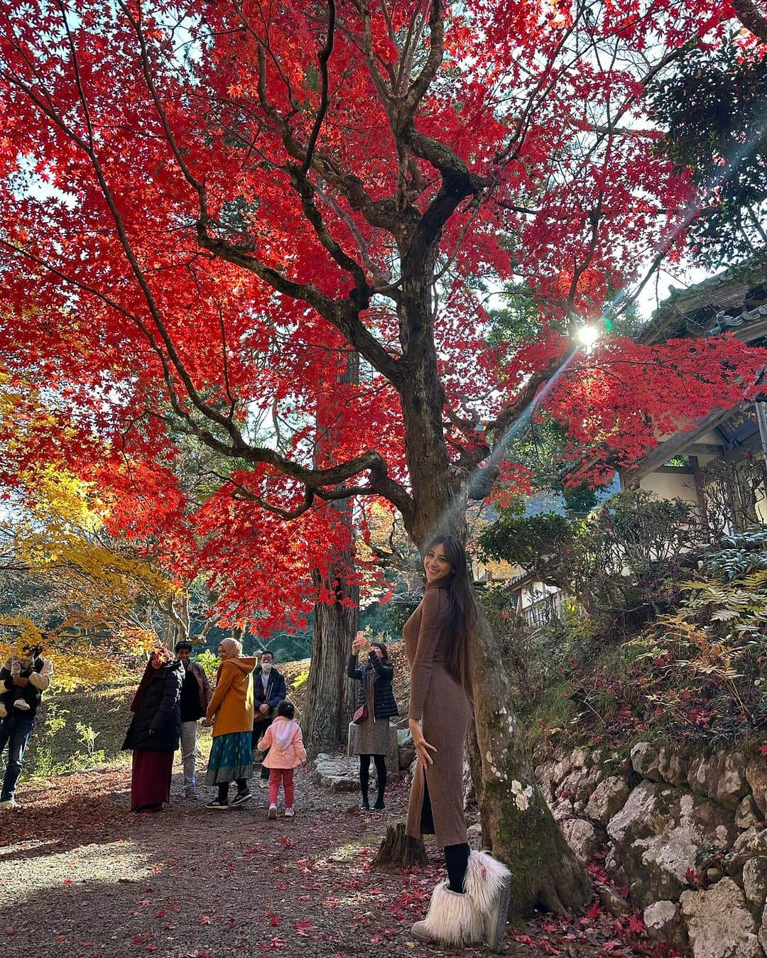 道端カレンさんのインスタグラム写真 - (道端カレンInstagram)「🍁🍁  紅葉見物  紅葉の京都南丹市の龍隠寺という禅寺の紅葉がとっても綺麗でした。 新幹線に乗る前に時間が余ったので連れて行っていただきました。 それでも今年、夏が長く続き気温が高かった為、紅葉はあまり綺麗ではないようです。 綺麗に色付くには寒暖差がしっかりあると美しい色を出すそうです。  京都には桜の時期の観光はじめ、夏から秋にかけては毎年京都トライアスロンでも来ていましたが、実は紅葉を見れたのは初でした。  来年からは毎年この時期に合わせて来たいなと思えるくらい綺麗でした。  #南丹市文化観光大使 #南丹市 #南丹市スポーツ協会 #京都 #龍隠寺 #禅寺 #紅葉」11月26日 16時46分 - karenmichibata