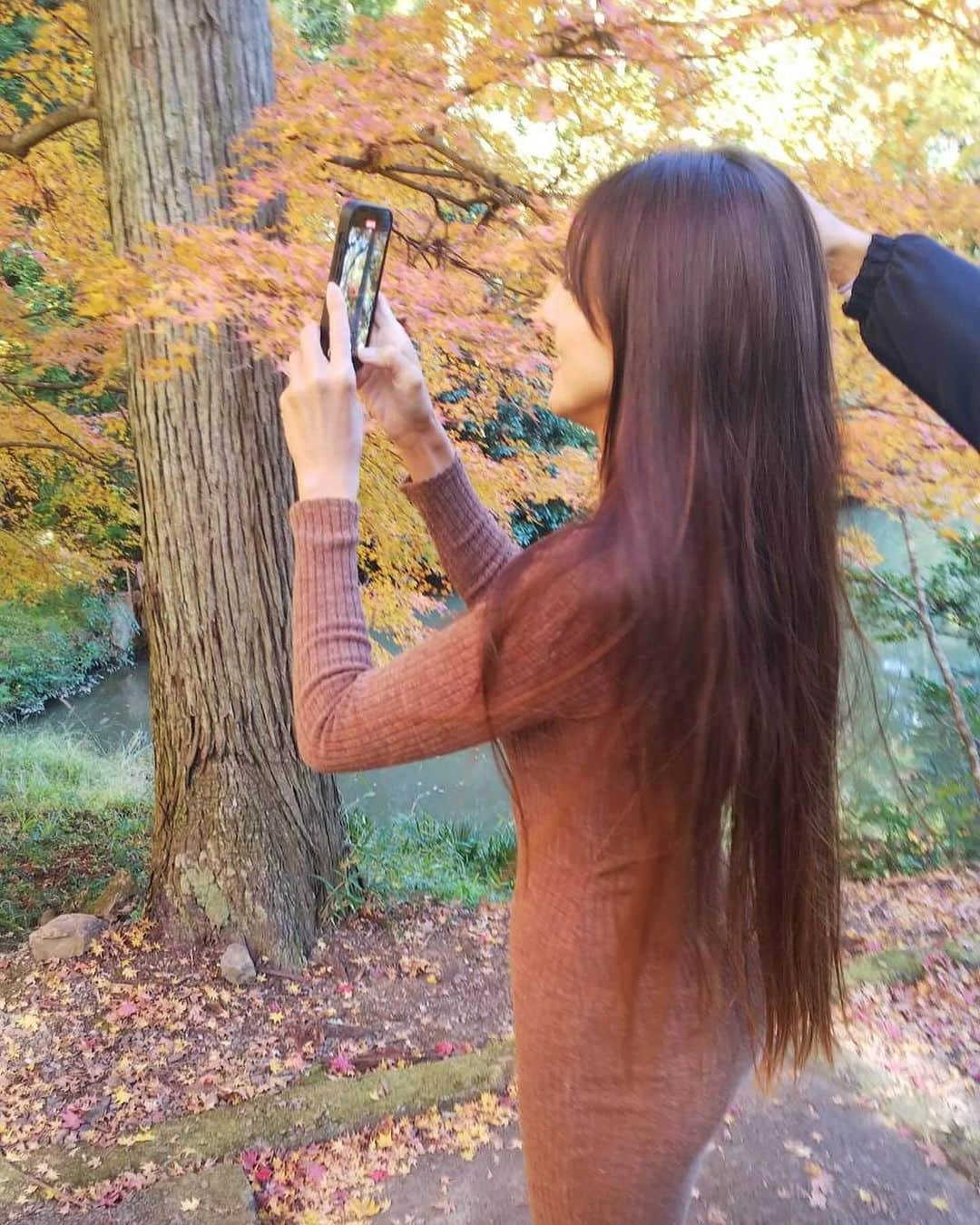 道端カレンさんのインスタグラム写真 - (道端カレンInstagram)「🍁🍁  紅葉見物  紅葉の京都南丹市の龍隠寺という禅寺の紅葉がとっても綺麗でした。 新幹線に乗る前に時間が余ったので連れて行っていただきました。 それでも今年、夏が長く続き気温が高かった為、紅葉はあまり綺麗ではないようです。 綺麗に色付くには寒暖差がしっかりあると美しい色を出すそうです。  京都には桜の時期の観光はじめ、夏から秋にかけては毎年京都トライアスロンでも来ていましたが、実は紅葉を見れたのは初でした。  来年からは毎年この時期に合わせて来たいなと思えるくらい綺麗でした。  #南丹市文化観光大使 #南丹市 #南丹市スポーツ協会 #京都 #龍隠寺 #禅寺 #紅葉」11月26日 16時46分 - karenmichibata