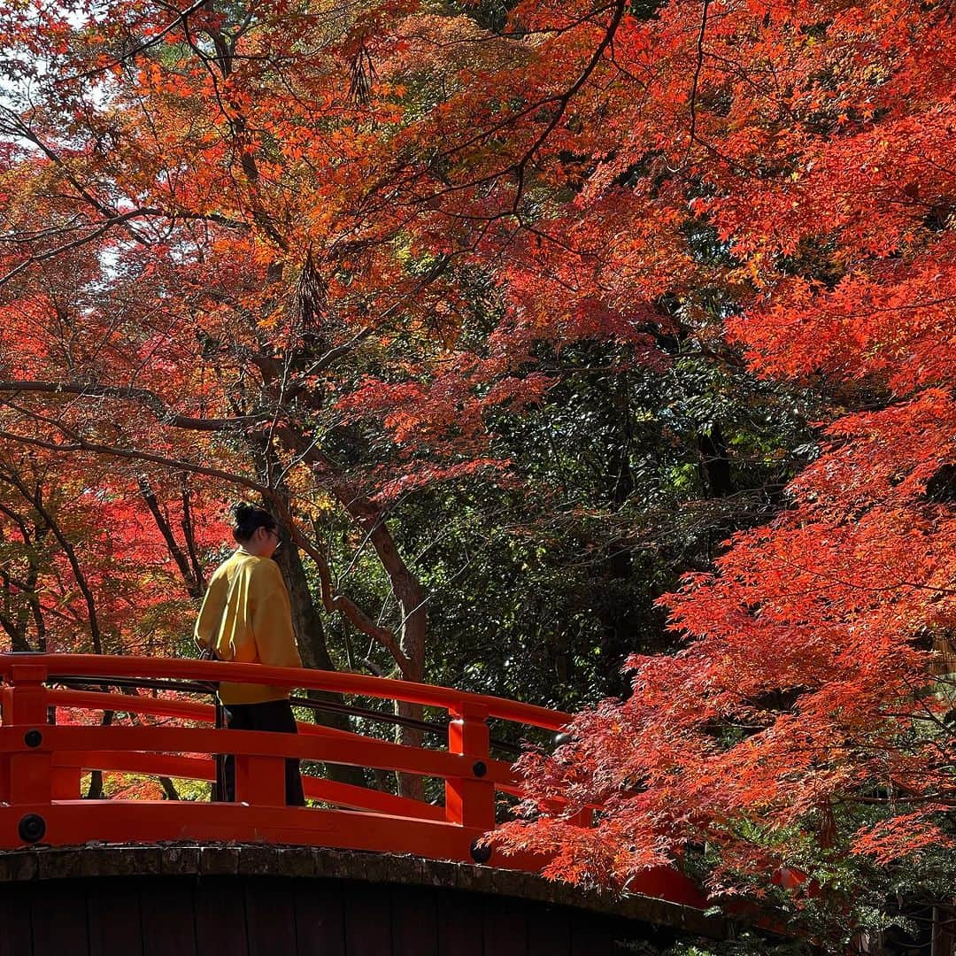 行正り香さんのインスタグラム写真 - (行正り香Instagram)「京都の北野天満宮、永観堂、南禅寺の真っ赤な紅葉🍁。生まれた時、紅葉の葉っぱのように小さな手をしていた次女と見ることができました。#行正り香 #rikayukimasa #kyoto」11月26日 16時48分 - rikayukimasa