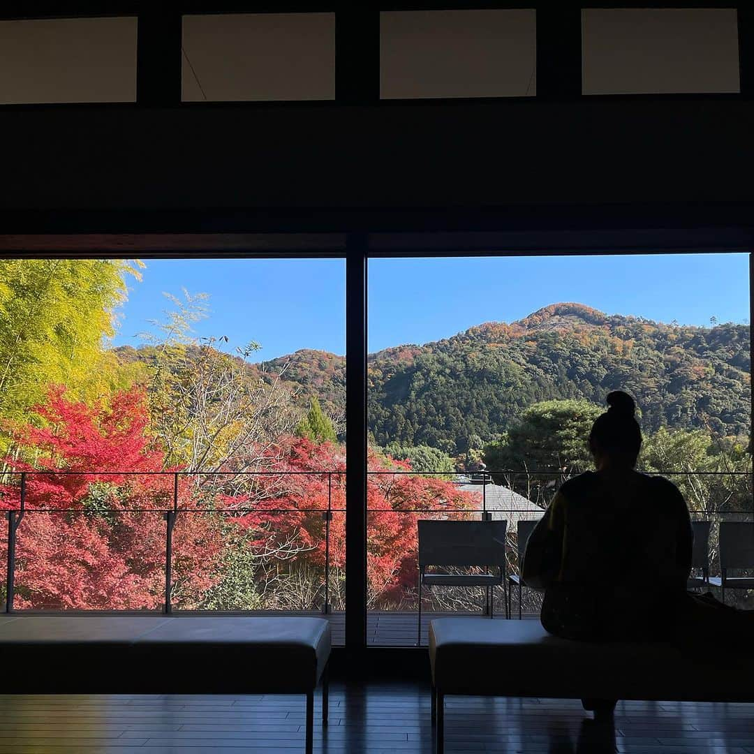 行正り香さんのインスタグラム写真 - (行正り香Instagram)「京都の北野天満宮、永観堂、南禅寺の真っ赤な紅葉🍁。生まれた時、紅葉の葉っぱのように小さな手をしていた次女と見ることができました。#行正り香 #rikayukimasa #kyoto」11月26日 16時48分 - rikayukimasa