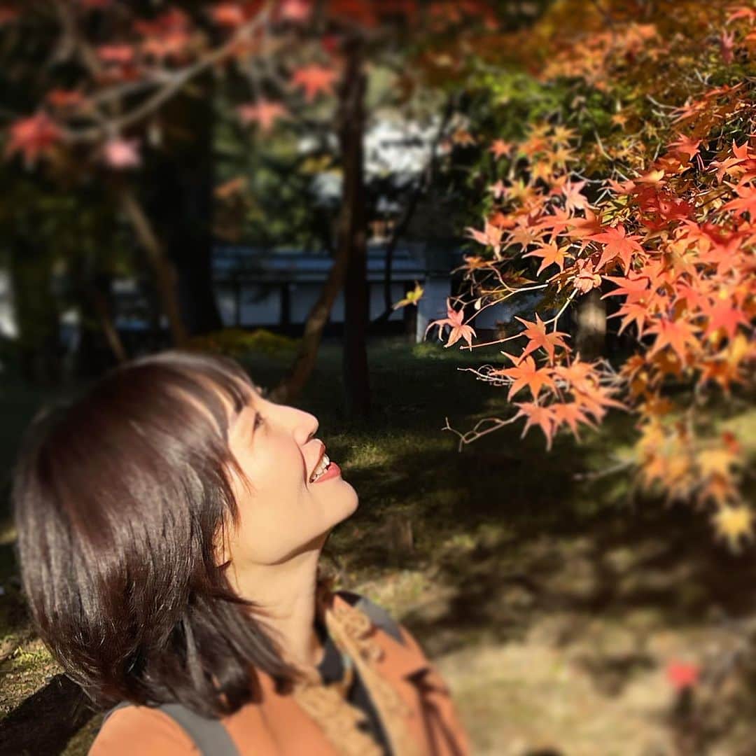 行正り香さんのインスタグラム写真 - (行正り香Instagram)「京都の北野天満宮、永観堂、南禅寺の真っ赤な紅葉🍁。生まれた時、紅葉の葉っぱのように小さな手をしていた次女と見ることができました。#行正り香 #rikayukimasa #kyoto」11月26日 16時48分 - rikayukimasa