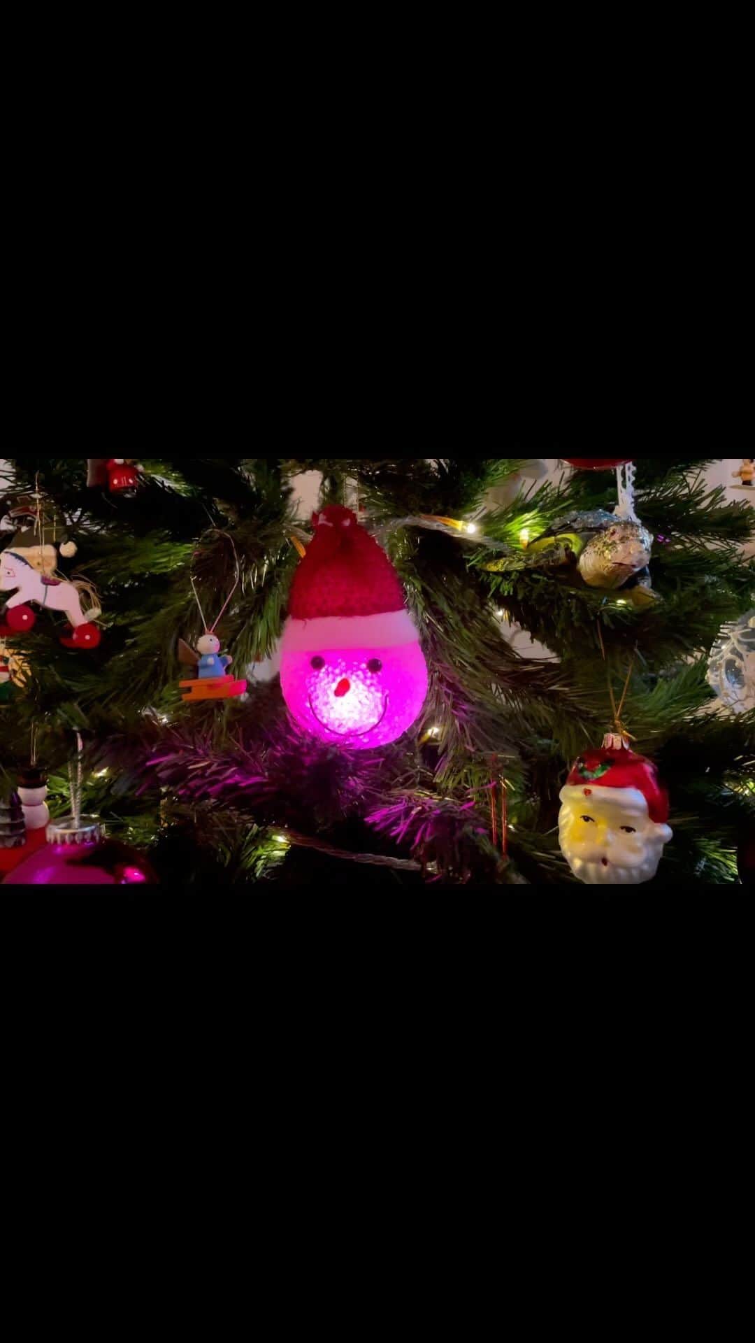はなのインスタグラム：「クリスマスツリーに仲間入りしたカラフルな南仏サンタ🎅とハワイのきらきらウミガメ🐢✨A Holly Jolly Christmas😆🎄」