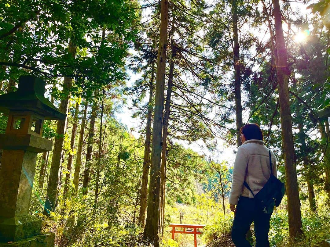 内山ミエのインスタグラム：「天気が良かったので急きょ足を伸ばして里山散策🐾⛰️お山は気持ちよかったなぁ☺️たまたま通りかかってみつけた神社で参拝しようと思ったら、雪囲いのカンペキ完全ガードでした😂👍  #里山 #ハイキング #コロンビア #columbia  #登山ファッション」