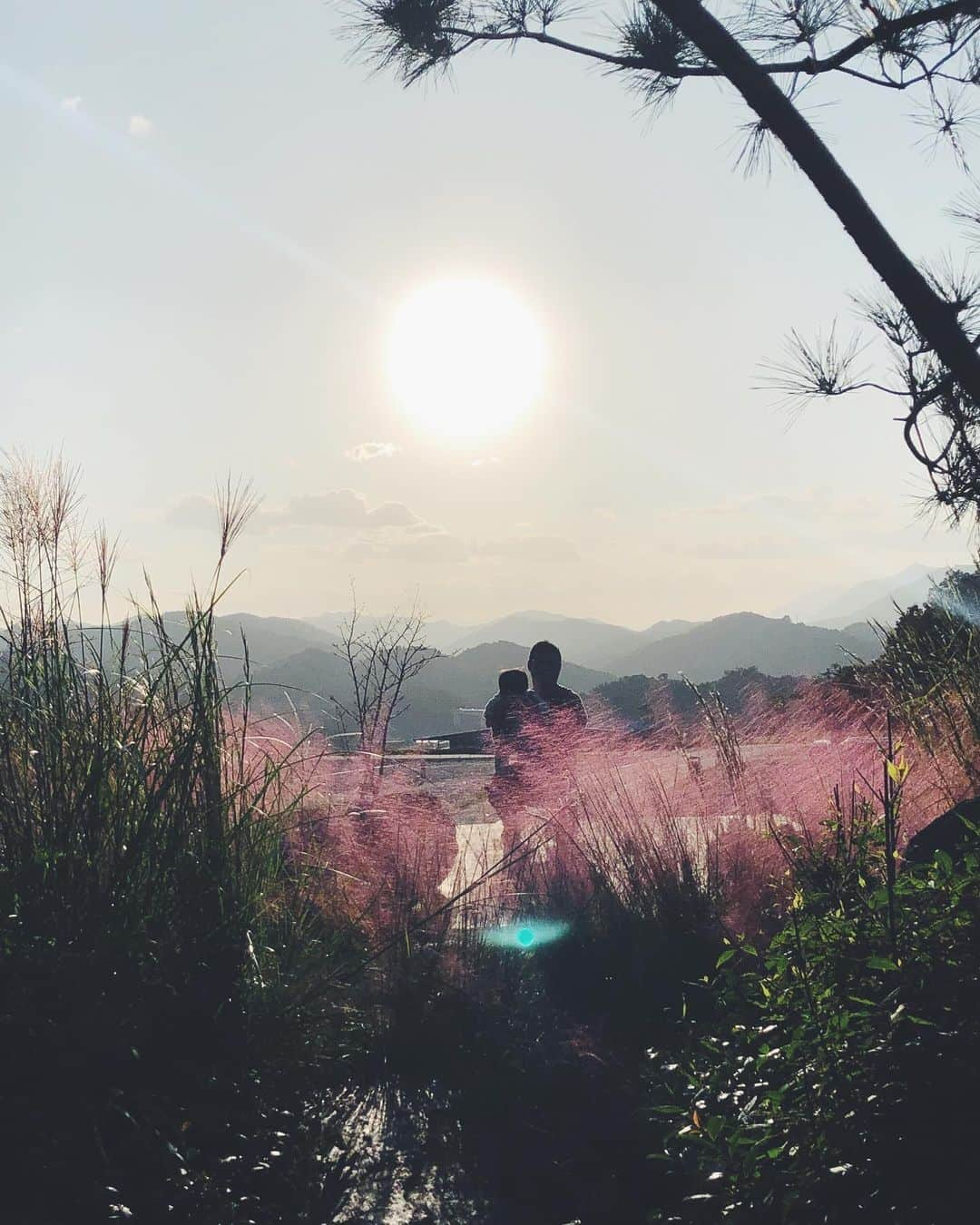 榎本美沙のインスタグラム：「. 少し前に、三重県にお邪魔していました！ . 多気町VISONへ、 木桶で仕込む本格的な林商店の「伊勢たくあん」、 長い期間漬け込んで、 旨みがぎゅーっと凝縮されたたくあんは ずっと噛んでいたい味わいでしたー！ . そして、みりん醸造所「美醂 VIRIN de ISE」 を見学させていただきました！ . こちらは私も愛用している、 三州三河みりんの角谷文治郎商店さんがやられているお店。 . 地元多気町のお米を使って、 伝統的な製法で作られています。 お店の横に醸造所がついているところもすごい。 . 今も使わせていただいていますが、 とっても芳醇で濃い！ コクのある料理に仕上がりますし、少し煮詰めてシロップやみたらしだれにも◎ . VISONは、マルシェがあって新鮮野菜を買えたり、 本草研究RINNE、くるみの木など楽しめる場所がたくさんでした。 またお伺いしたいです！ . . #VISON #三重 #みりん #発酵 #発酵食品 #発酵料理 #伊勢 #発酵旅 #発酵ツーリズム #伊勢神宮」