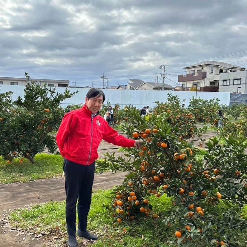 菅原一秀さんのインスタグラム写真 - (菅原一秀Instagram)「南大泉の農業フェスタは今年も大盛況でした。都市農業基本法を議員立法で成立させ、都市農業を守り、攻めの農業に切り替えていくプラットフォームをつくりました。」11月26日 17時34分 - sugawaraisshu