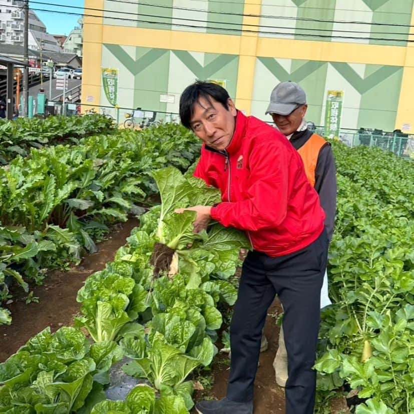 菅原一秀さんのインスタグラム写真 - (菅原一秀Instagram)「南大泉の農業フェスタは今年も大盛況でした。都市農業基本法を議員立法で成立させ、都市農業を守り、攻めの農業に切り替えていくプラットフォームをつくりました。」11月26日 17時34分 - sugawaraisshu