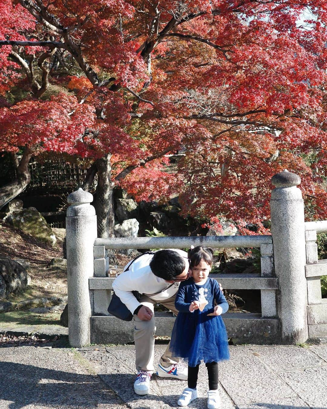 デフィ・キナル・プトリさんのインスタグラム写真 - (デフィ・キナル・プトリInstagram)「Autumn in Nara😍 . ft anak ngantuk」11月26日 17時41分 - kinalputridevi