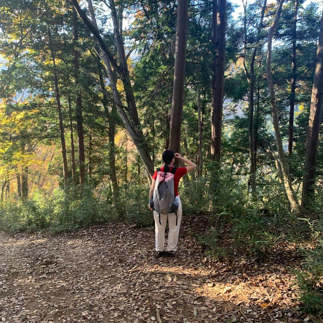 片岡メリヤスさんのインスタグラム写真 - (片岡メリヤスInstagram)「JR高尾駅〜高尾山古道入口〜高尾山〜城山〜千木良登山口〜相模湖〜相模湖温泉うるり(プレジャーフォレスト)〜相模湖駅  紅葉真っ盛りの祝日にアグパーと山登り。 城山から相模湖へ下る道がとても良かった。 千木良登山口から相模湖駅へ帰ってもよかったけど、まだまだ歩ける感じだったから1時間くらい歩いて温泉まで行った。 帰りはプレジャーフォレストからバスで相模湖駅まで。 なんだかんだで3万歩くらい歩いた。 平日なら逆ルートで京王高尾山口に下りて温泉行くのもいいなと思った。 冬の間は気軽な山登りに月に2回くらい行ければ理想的だけど現実はなかなか難しい。 でも気軽に山登りに一緒に行ってくれる友達がいてくれるのはうれしい。」11月26日 17時58分 - kataokameriyasu