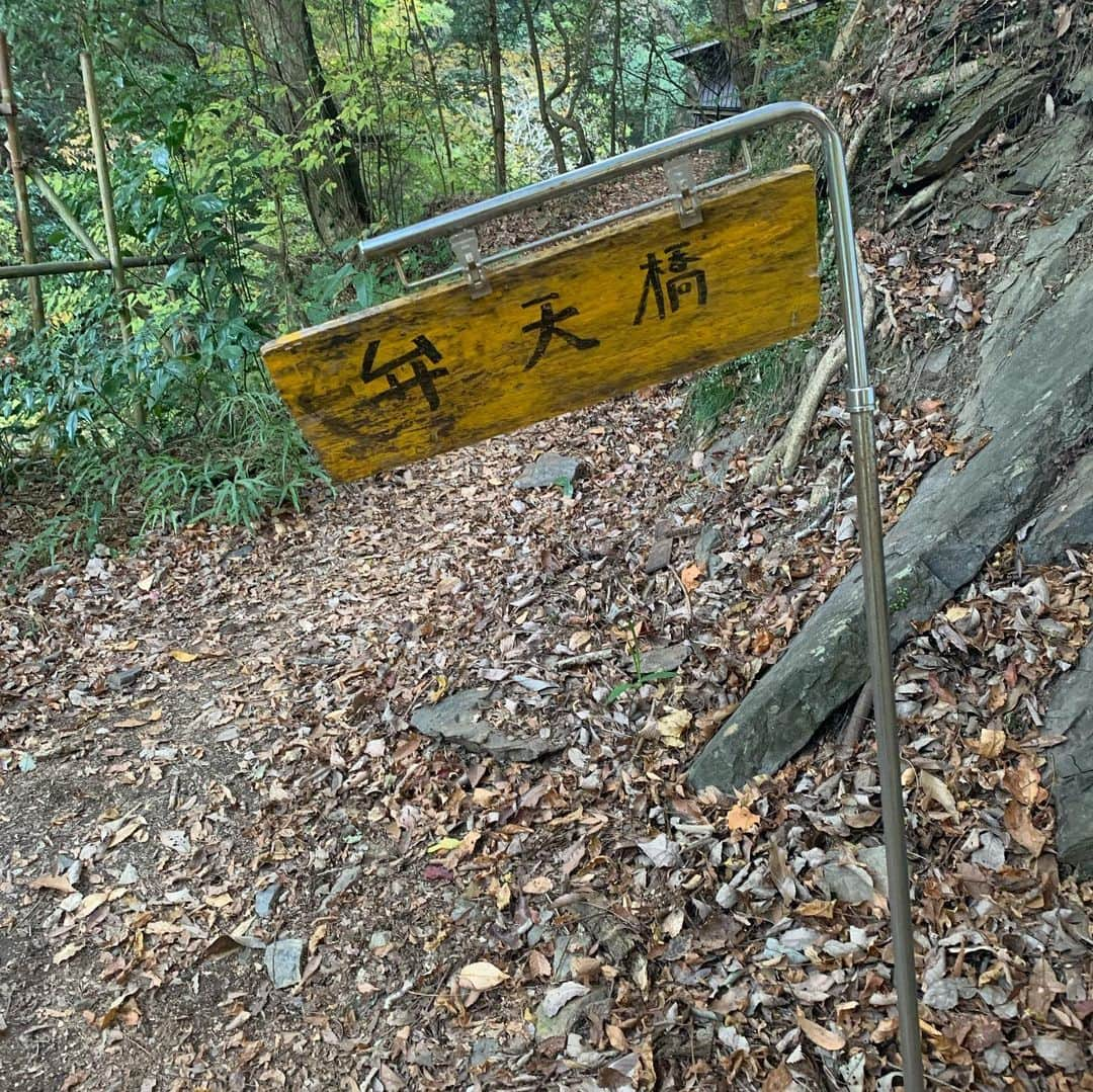 片岡メリヤスさんのインスタグラム写真 - (片岡メリヤスInstagram)「JR高尾駅〜高尾山古道入口〜高尾山〜城山〜千木良登山口〜相模湖〜相模湖温泉うるり(プレジャーフォレスト)〜相模湖駅  紅葉真っ盛りの祝日にアグパーと山登り。 城山から相模湖へ下る道がとても良かった。 千木良登山口から相模湖駅へ帰ってもよかったけど、まだまだ歩ける感じだったから1時間くらい歩いて温泉まで行った。 帰りはプレジャーフォレストからバスで相模湖駅まで。 なんだかんだで3万歩くらい歩いた。 平日なら逆ルートで京王高尾山口に下りて温泉行くのもいいなと思った。 冬の間は気軽な山登りに月に2回くらい行ければ理想的だけど現実はなかなか難しい。 でも気軽に山登りに一緒に行ってくれる友達がいてくれるのはうれしい。」11月26日 17時58分 - kataokameriyasu