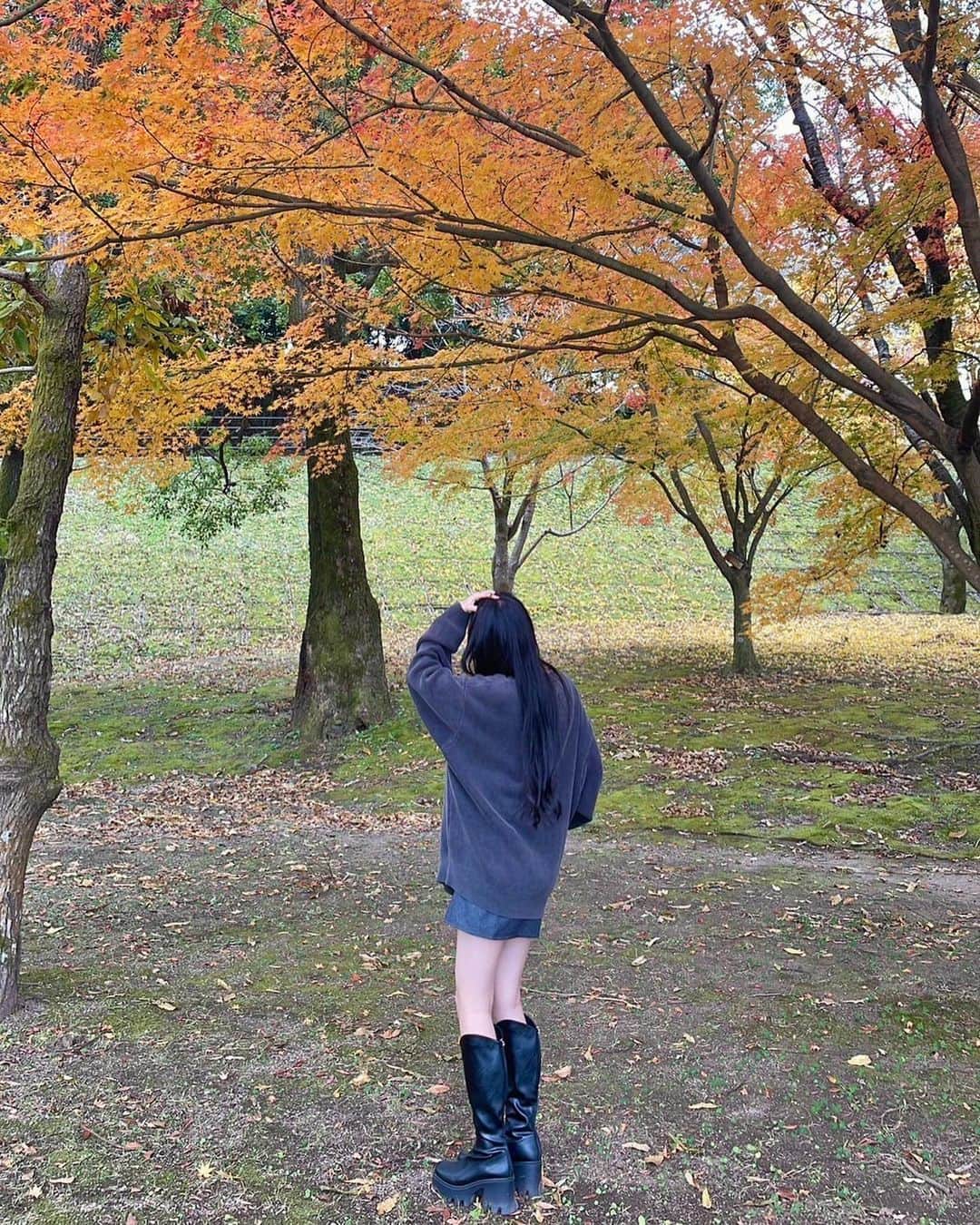 愛太郎さんのインスタグラム写真 - (愛太郎Instagram)11月26日 18時00分 - taro.__ai