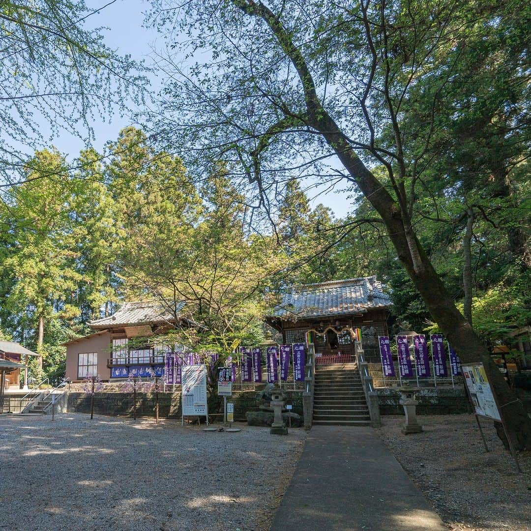 旅色さんのインスタグラム写真 - (旅色Instagram)「【栃木県｜栃木・佐野・足利・鹿沼】下野星宮神社　| 厄除け・方位除け・開運導きの神様⛩🐇  大同2年（807年）、藤原鎌足公十代の後裔である飛鳥井刑部卿が開拓司として居住、所を児山の郷の乾の方にして宮内と称し、磐裂神・根裂神を祀る鎮守とされたのが始まりとされる「下野星宮神社」。 のちに香取神宮より経津主神を勧誘。  御神徳は開運厄除・方位除け・武運・開拓・窮地を救うといった、人々が背負う星々（一生）をお守りいただける霊験あらたかな神社です。  ＼✨おすすめポイント01✨／ ◎パワースポット「あすなろ龍神御柱」 境内にて発見された金色のモグラにあやかり奉製された「あすなろ龍神御柱」は、モグラが龍になって空を飛びたいと願った、日本古来の神話が元になっている。現在は年間多くの人が訪れる、金運上昇・諸願成就のパワースポット。  ＼✨おすすめポイント02✨／ ◎「勝石（魔去る石）」 日頃、知らず知らずの内に自身の身についた厄や魔を厄割玉に移し、「勝石（魔去る石）」に投げて当てることで身が清められ、勝運や幸運を授かるとされる神事。「勝石（魔去る石）」は境内北側の遊歩道にあり、厄割玉は社務所で購入可能。  —-✄———-✄———-✄—ー  【下野星宮神社】 @hoshinomiya_jinja 📍栃木県下野市下古山1530 ［車］北関東自動車壬生ICより約10分 ［電車］JR各線石橋駅より車で約7分 TEL：0285-53-1706 [旅色を見たとお伝えください]  旅色：https://tabiiro.jp/leisure/s/210021-shimotsuke-hoshinomiya/ 公式：https://hoshinomiya-jinjya.com/  —-✄———-✄———-✄—ー  #旅色 #下野星宮神社 #星宮神社 #栃木県 #下野市 #しめ縄 #蛇のしめ縄 #金運 #健康 #長寿 #御朱印 #御朱印帳 #栃木県の神社 #神社巡り #神社 #開運招福 #栃木県 #下野市 #神社 #神社巡り #神社仏閣 #御朱印 #限定御朱印 #神楽 #白狐 #五穀豊穣 #厄除 #方位」11月26日 18時00分 - tabiiro